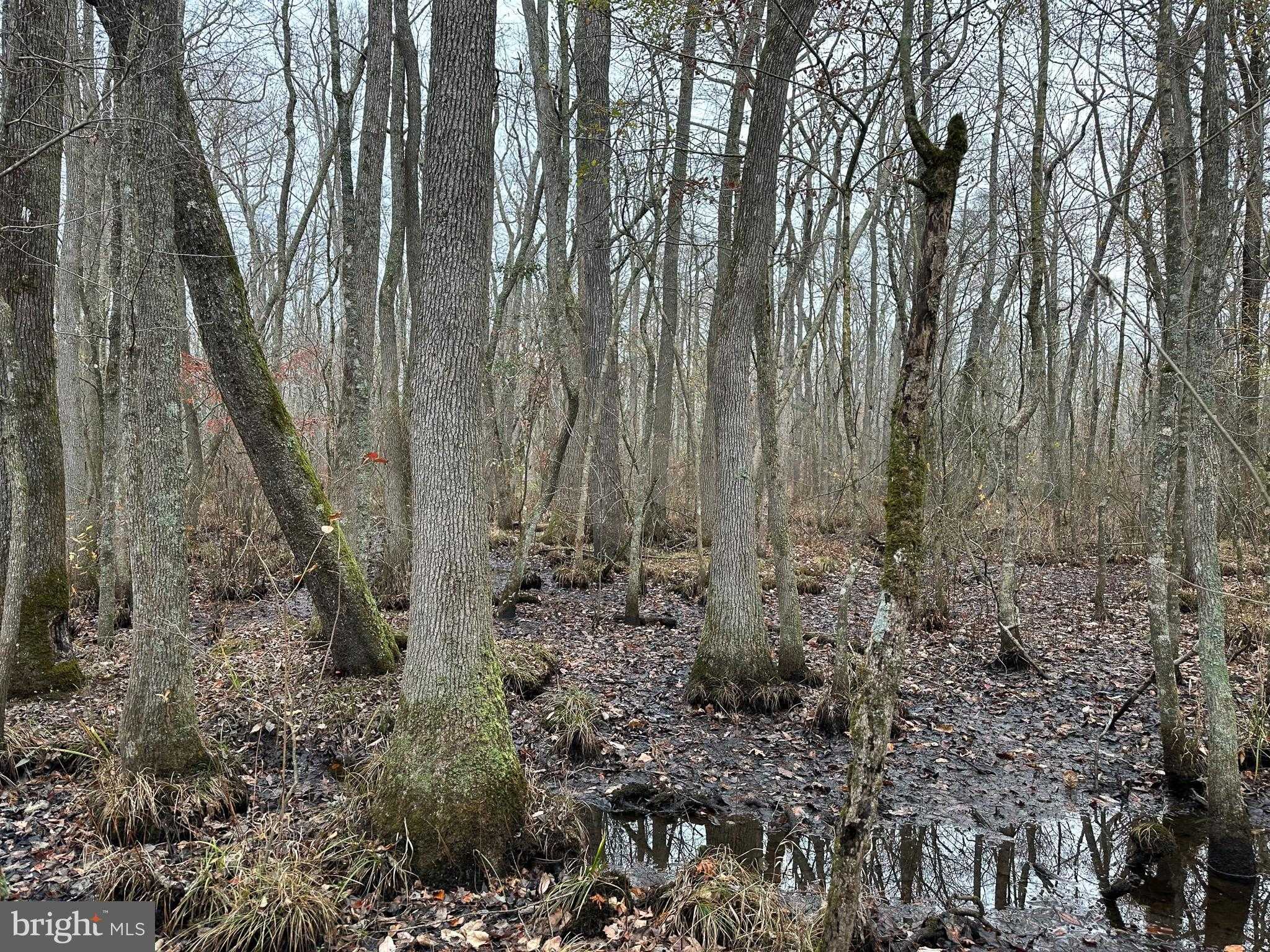 Fleming Mill Rd photo 9