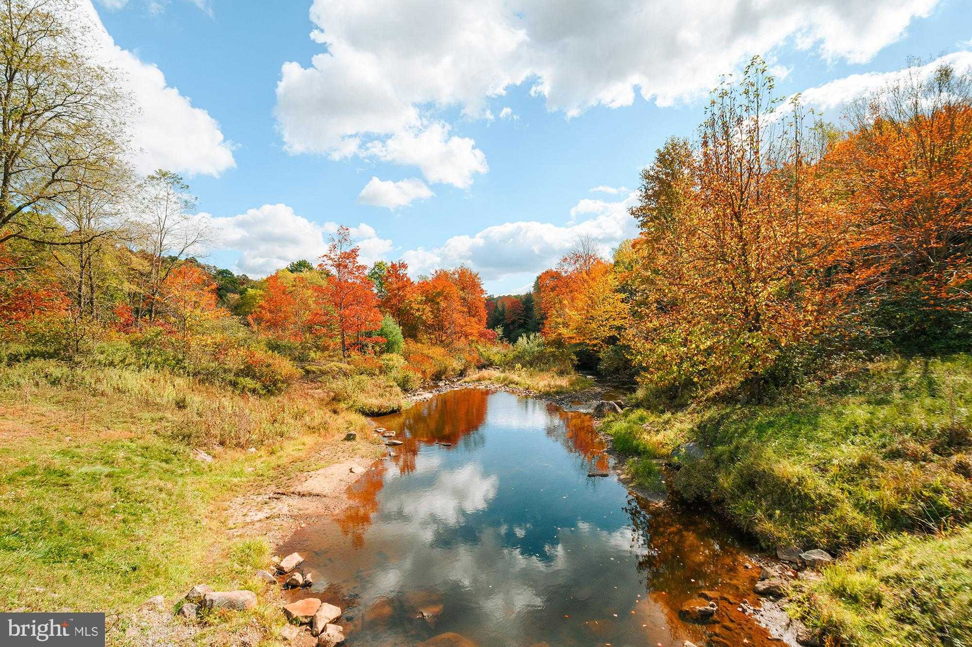 233 Rhododendron Dr photo 7