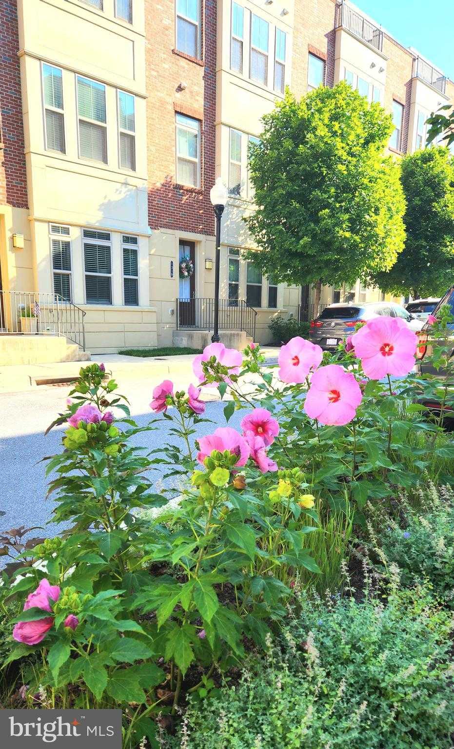 1313 Benjamin St photo 2