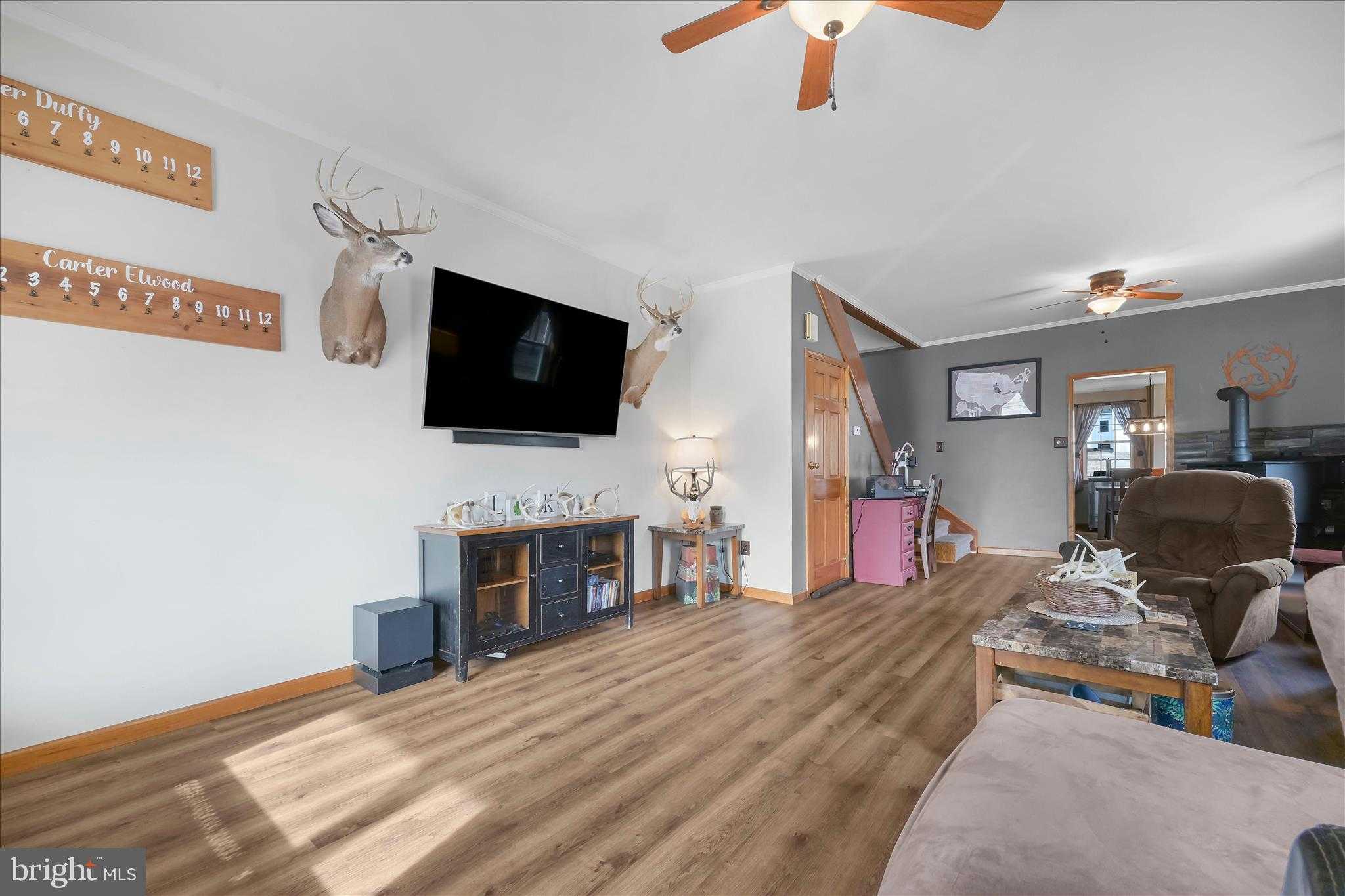 54 Walnut St photo 7