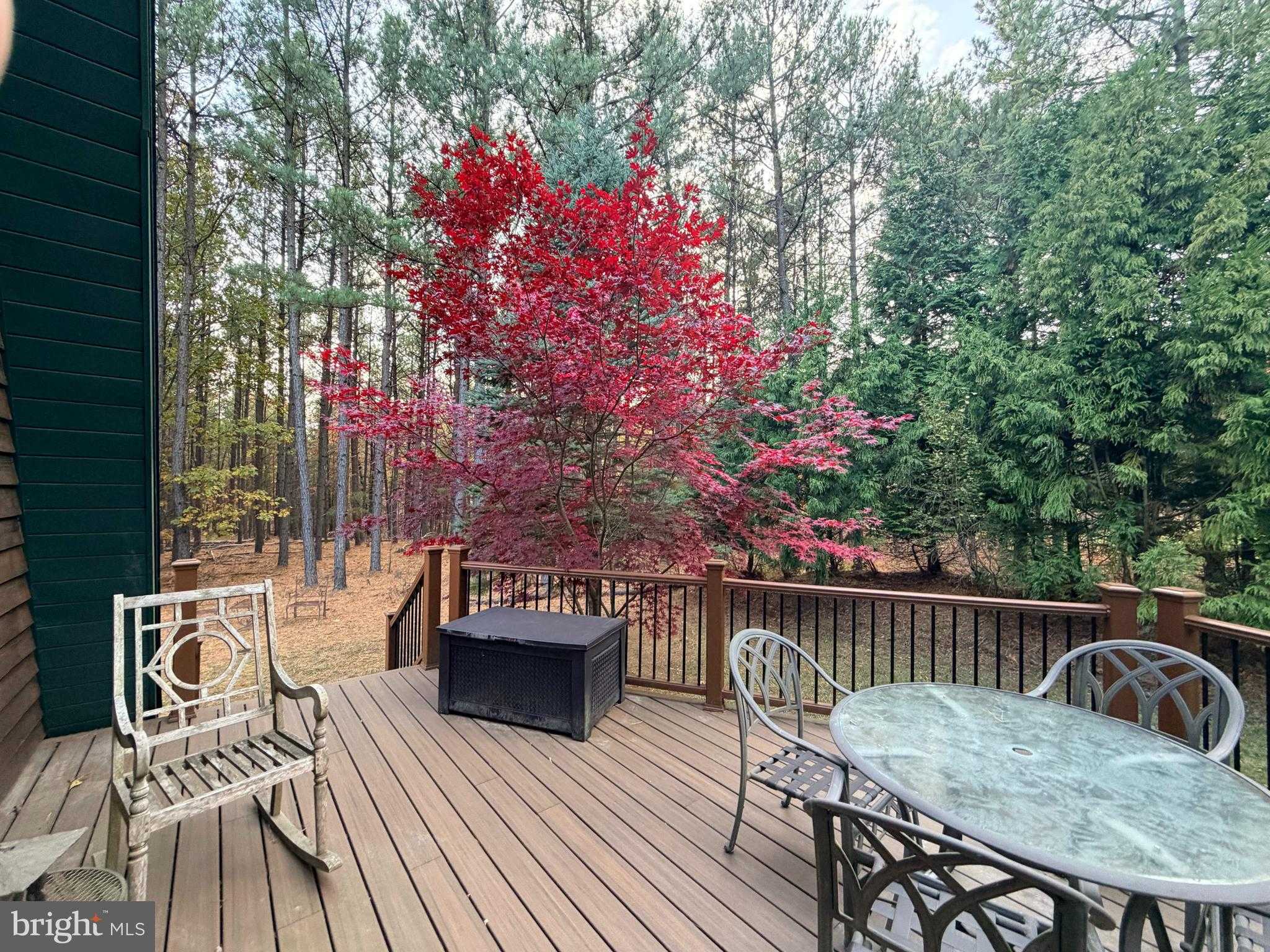 4839 Graces Cabin Rd photo 16