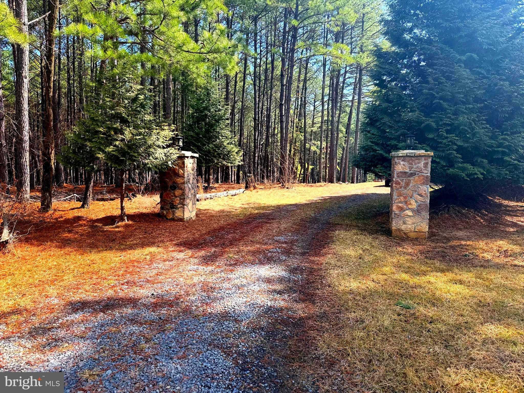 4839 Graces Cabin Rd photo 3