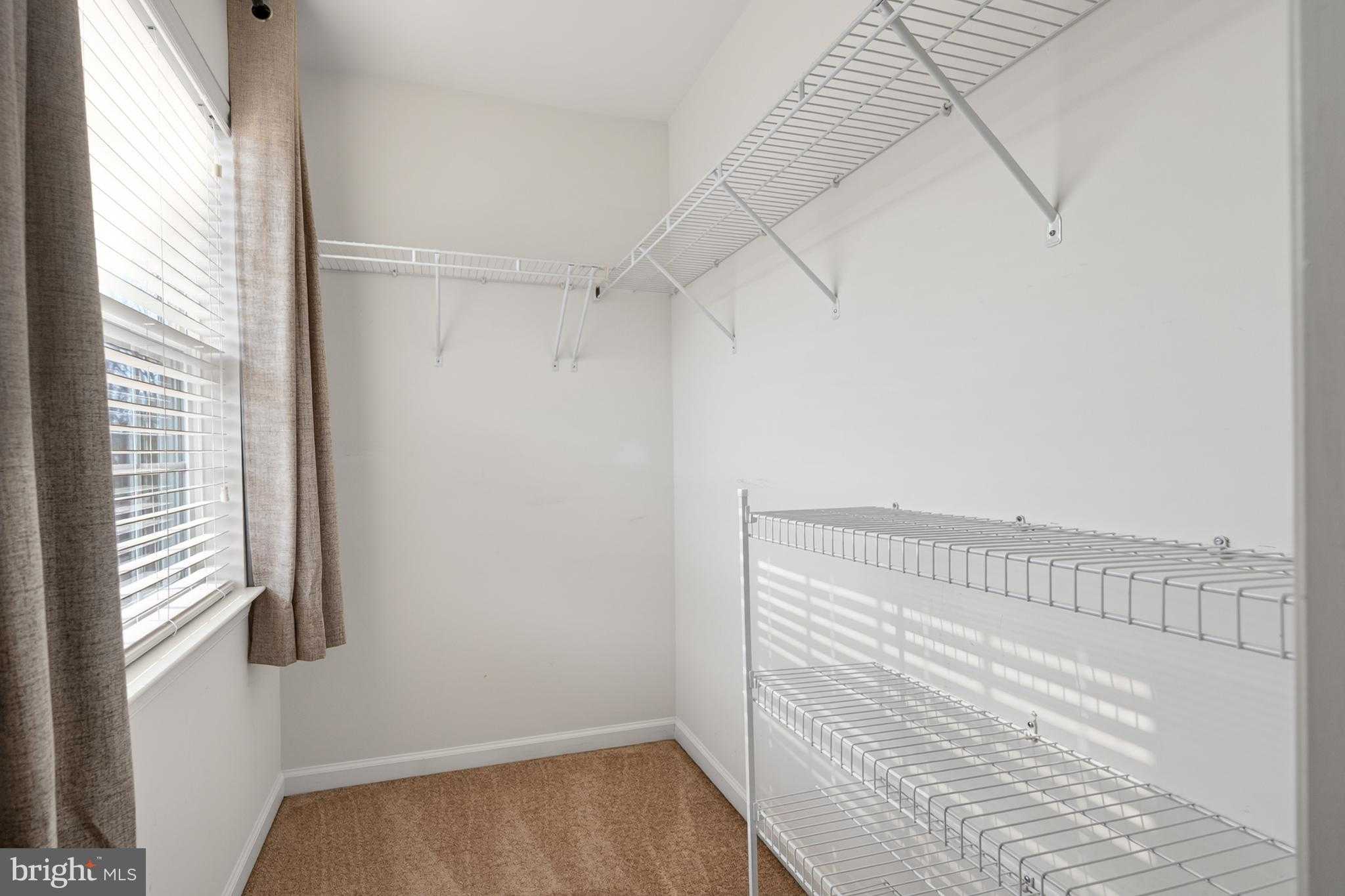 15258 Rosemont Manor Dr photo 36