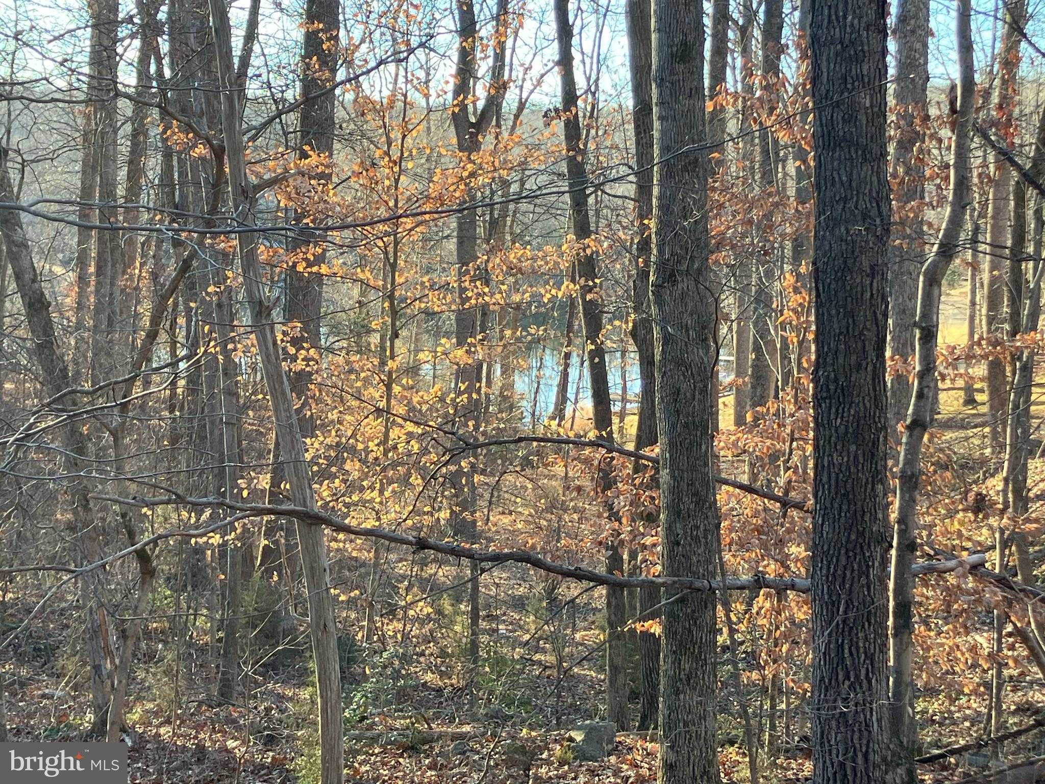 1224 N Lakeshore Dr photo 2