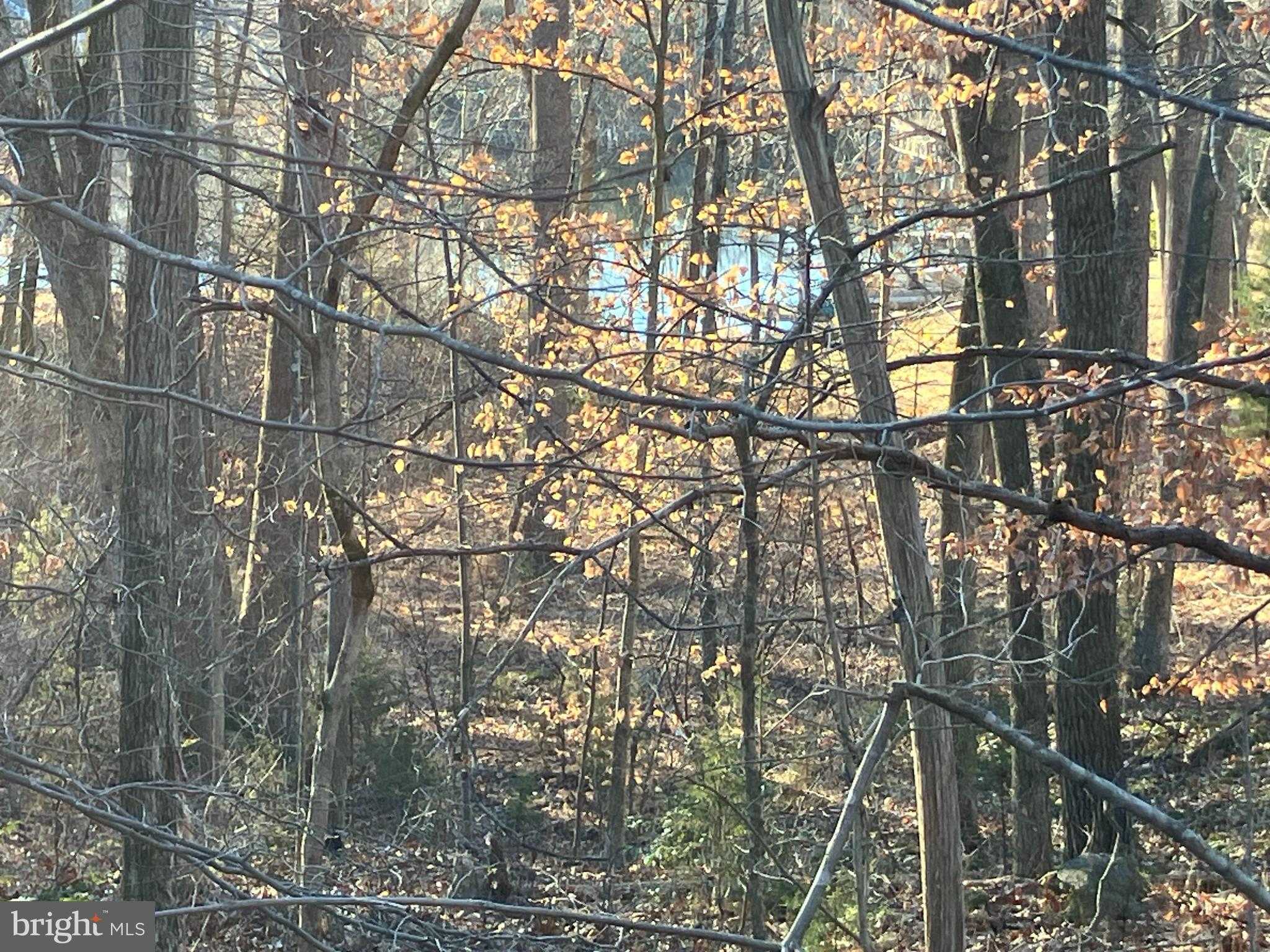 1224 N Lakeshore Dr photo 3