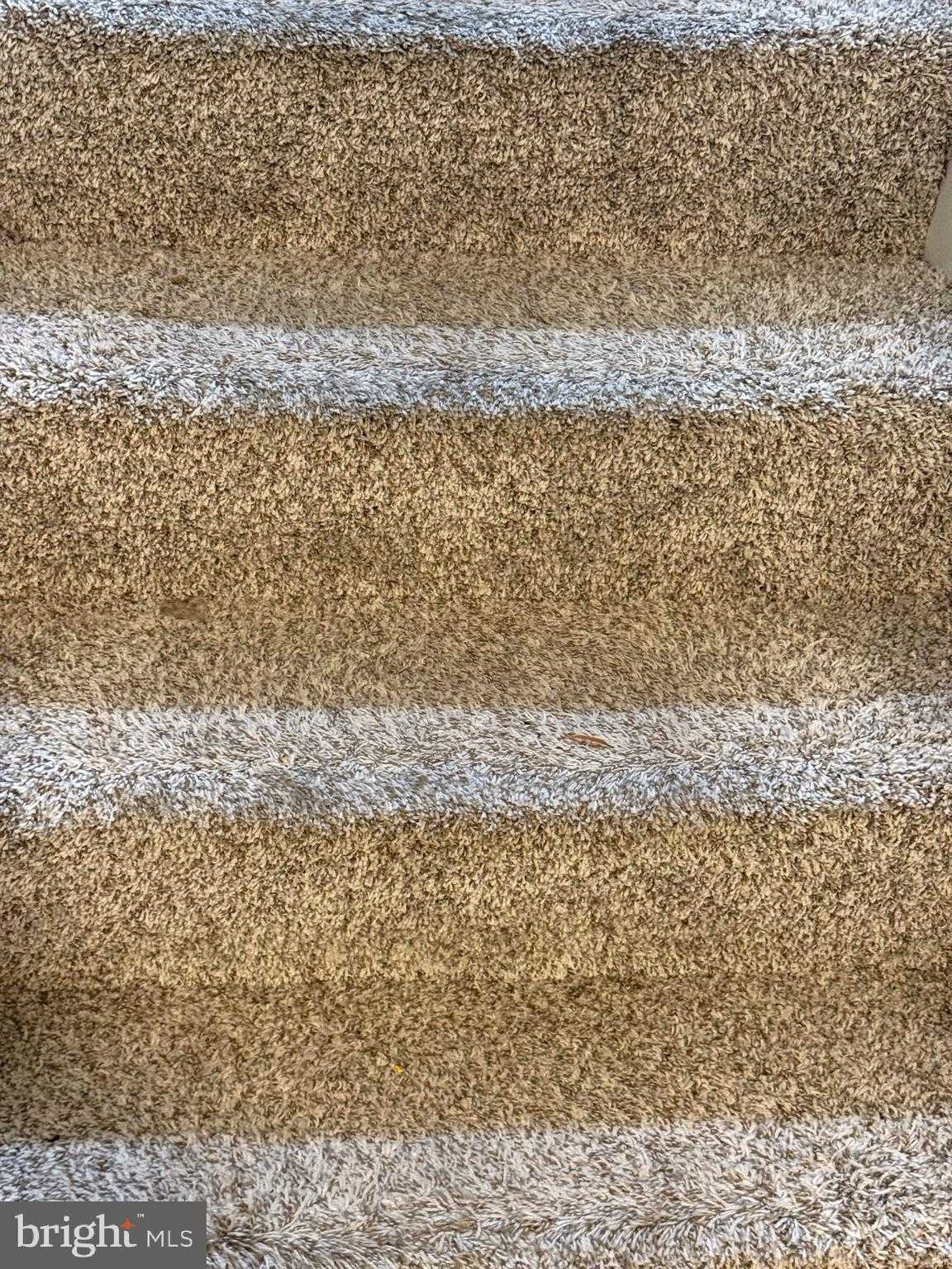 11348 Baroque Rd photo 43