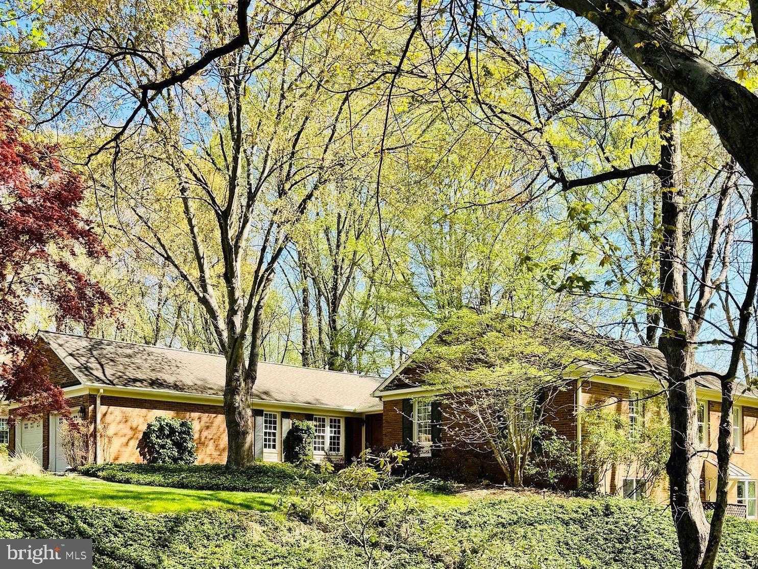 10223 Cedar Pond Dr photo 2