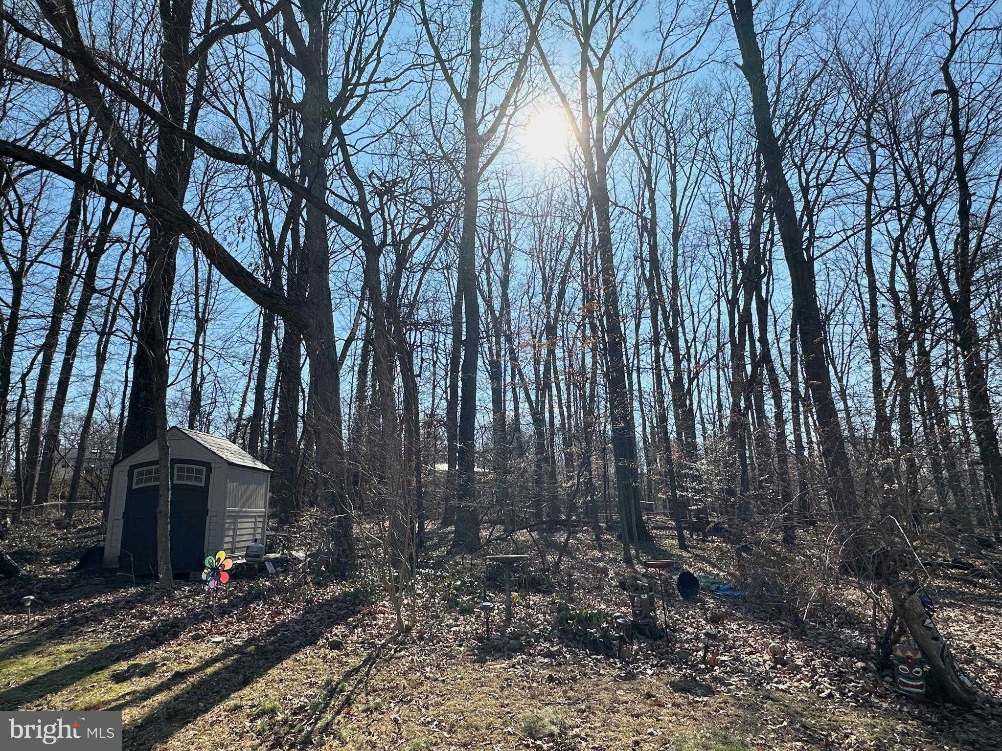 3812 Tall Oak CT photo 42