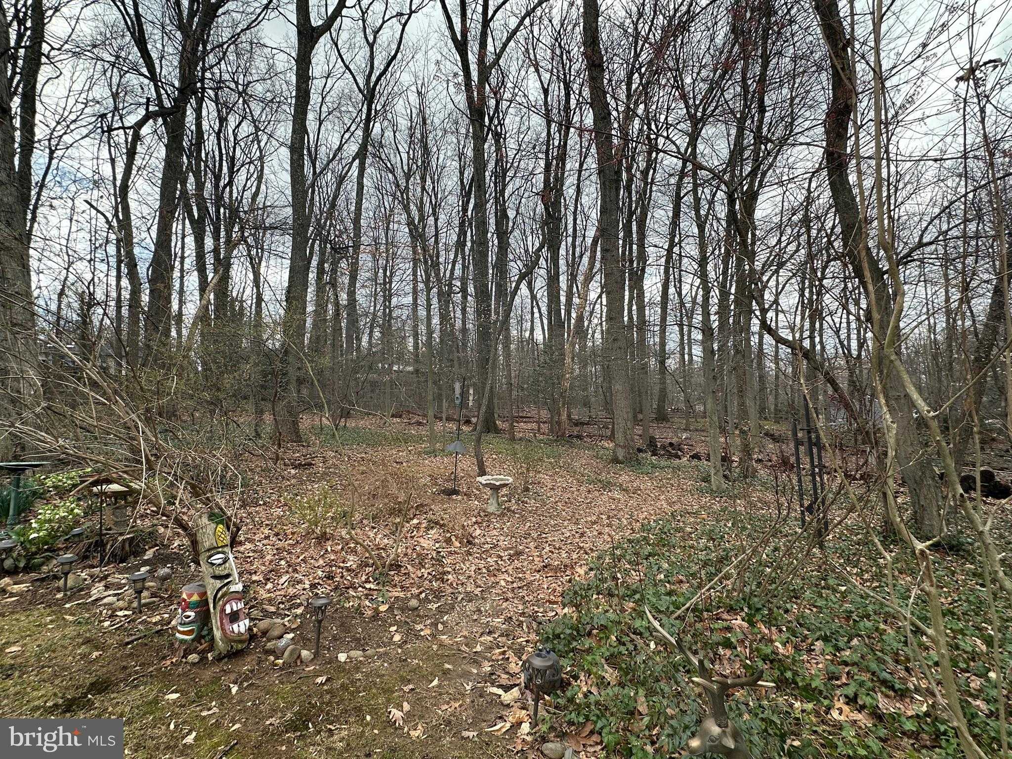 3812 Tall Oak CT photo 48