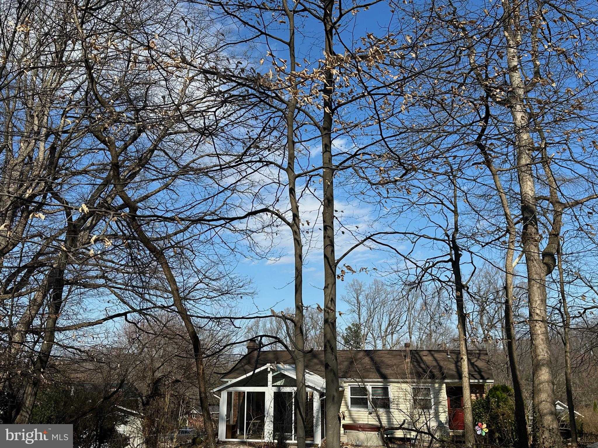 3812 Tall Oak CT photo 49