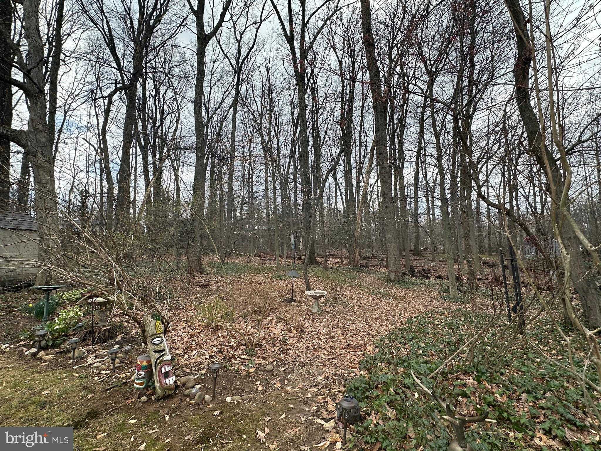 3812 Tall Oak CT photo 50