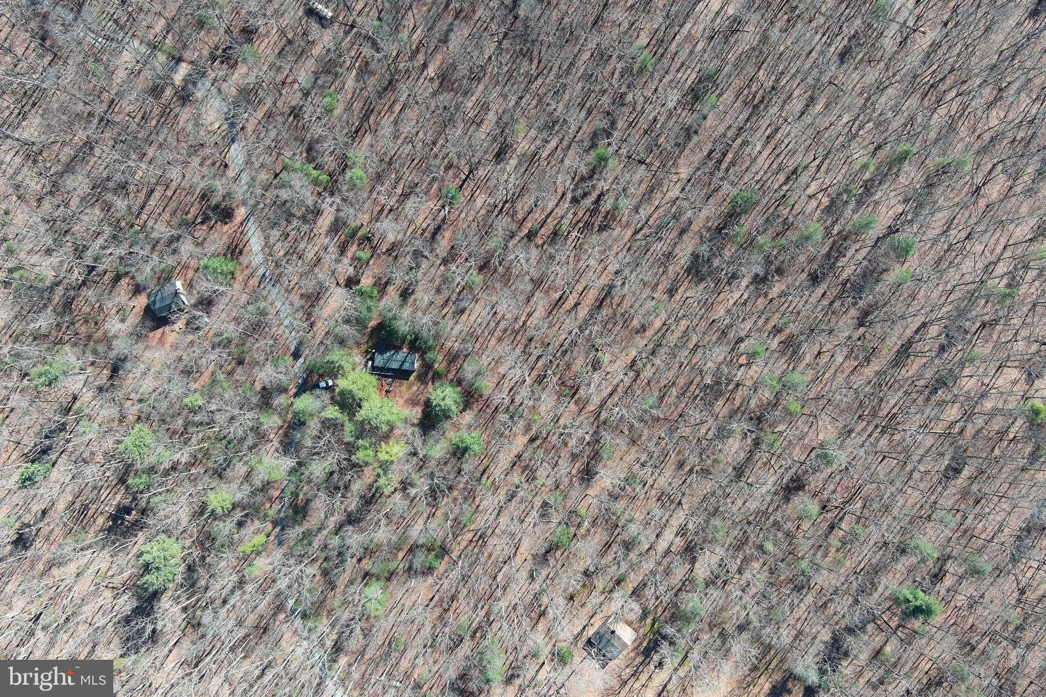 1080 Cove Mountain Rd photo 36