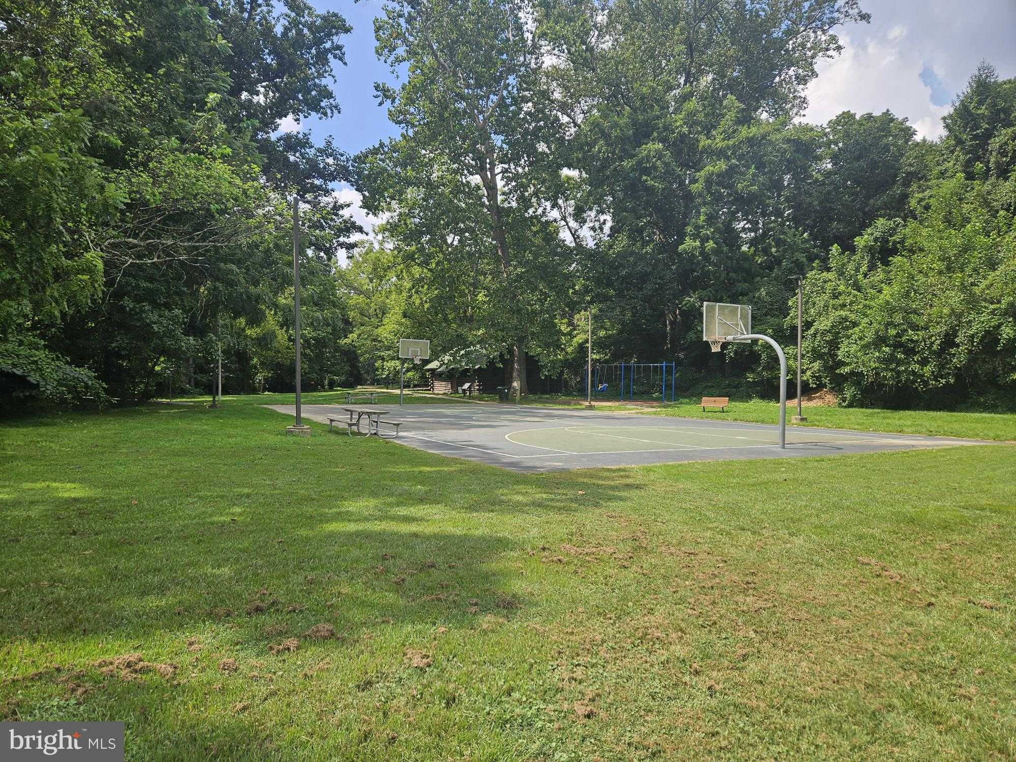 11315 Palisades CT photo 65