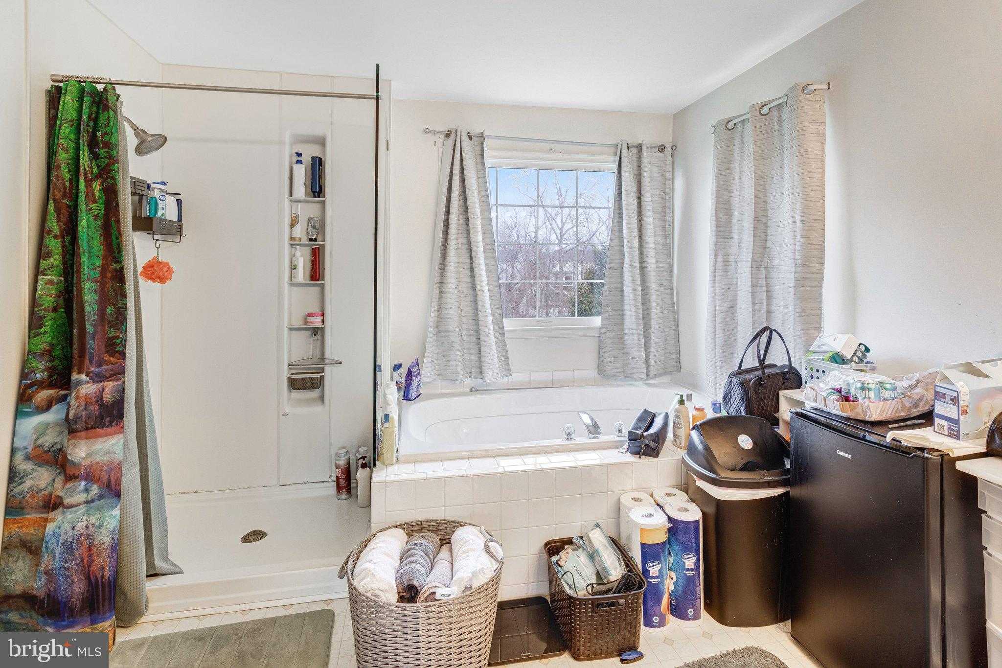 29 Palace Ln photo 19