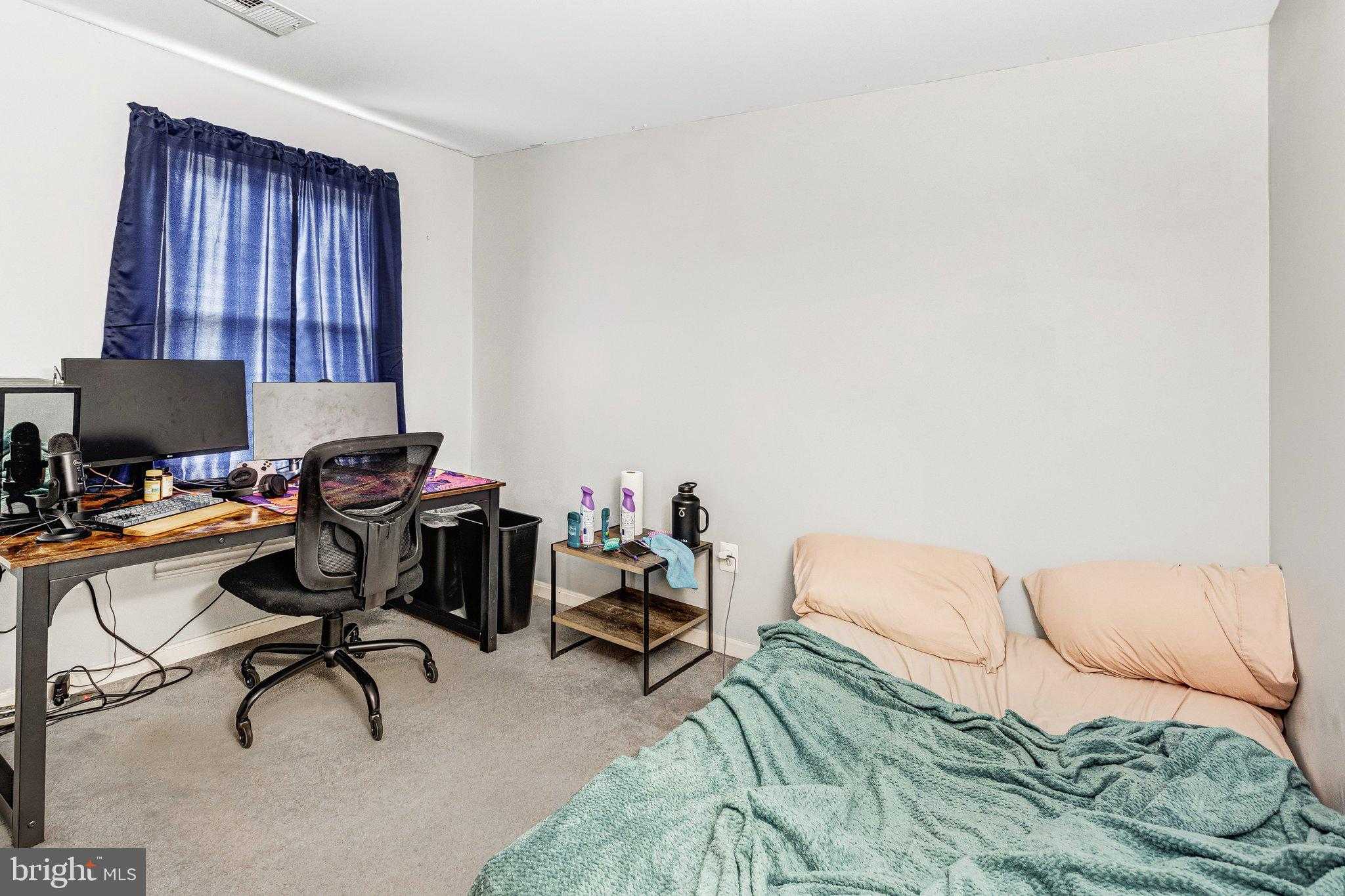 29 Palace Ln photo 24