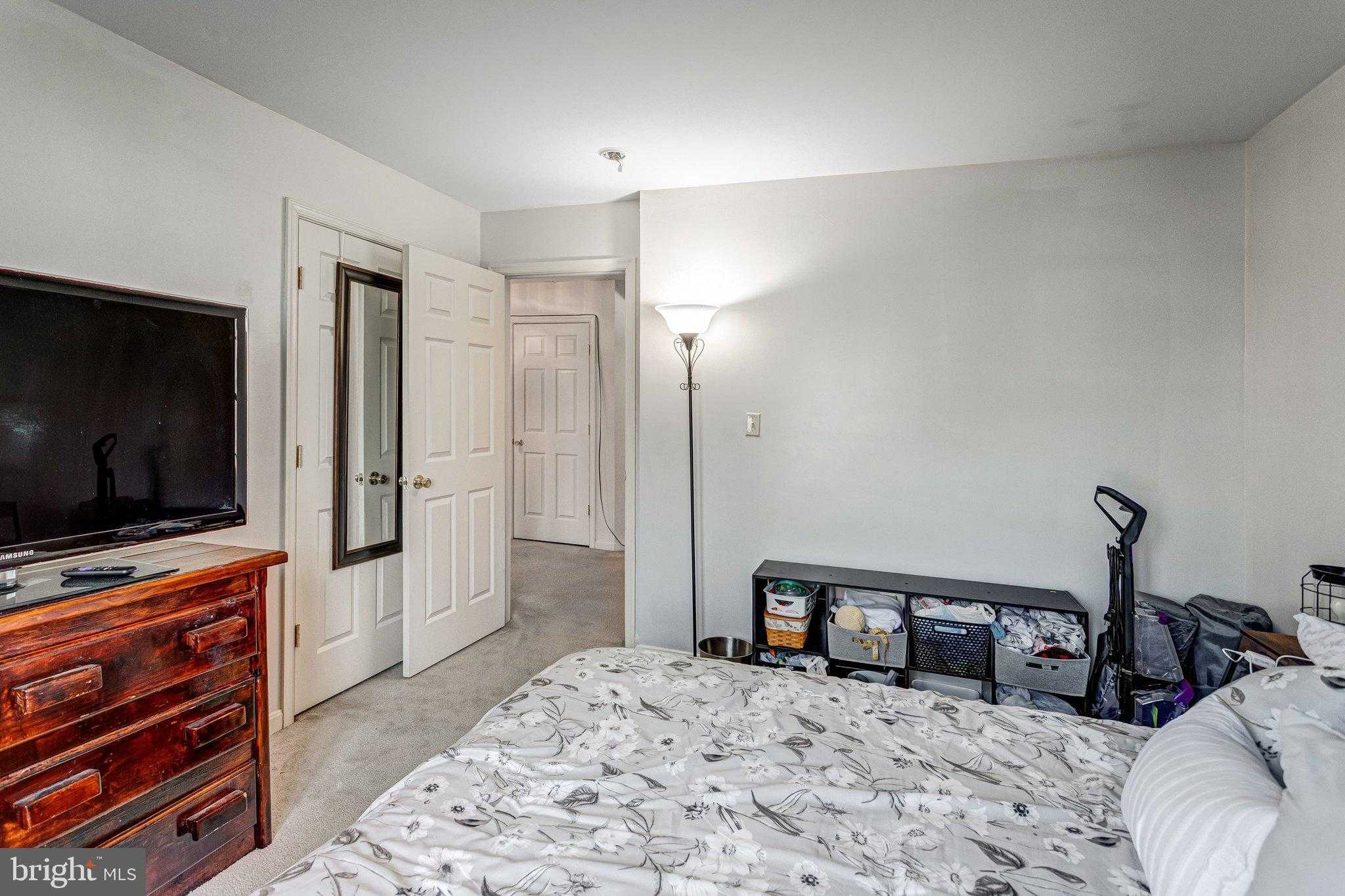 29 Palace Ln photo 28