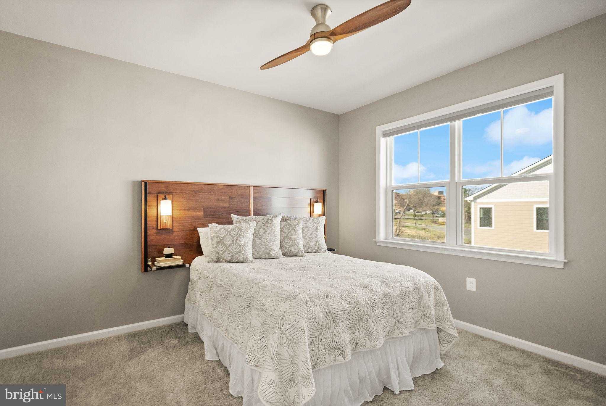 43887 Siren Song Ter photo 42