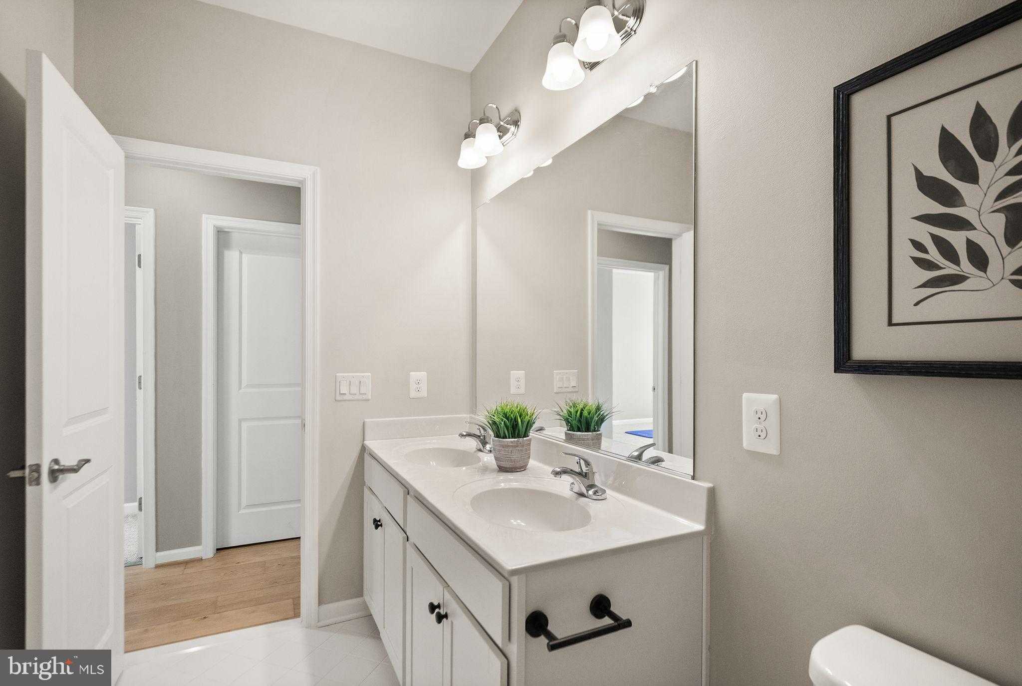 43887 Siren Song Ter photo 48