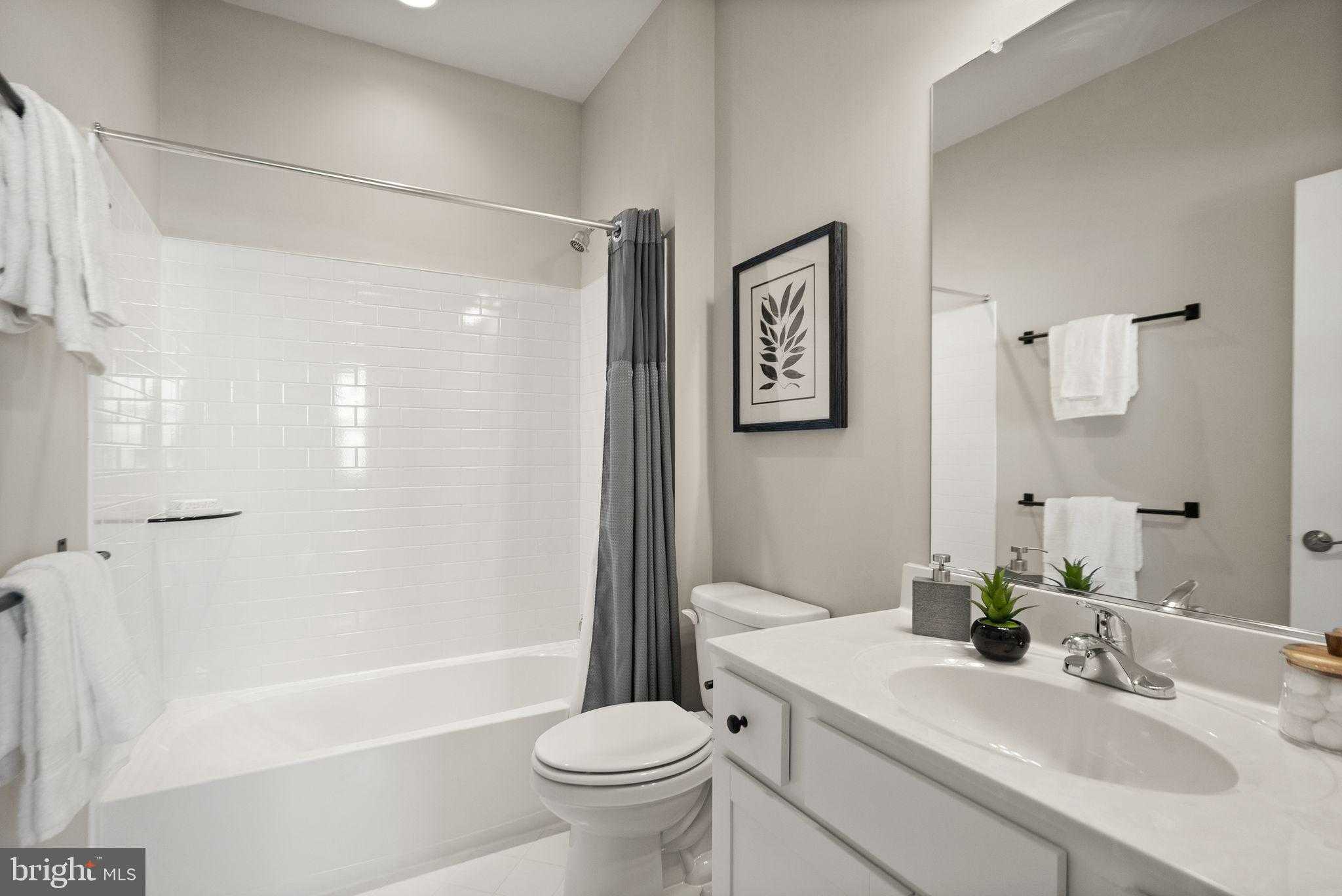 43887 Siren Song Ter photo 50