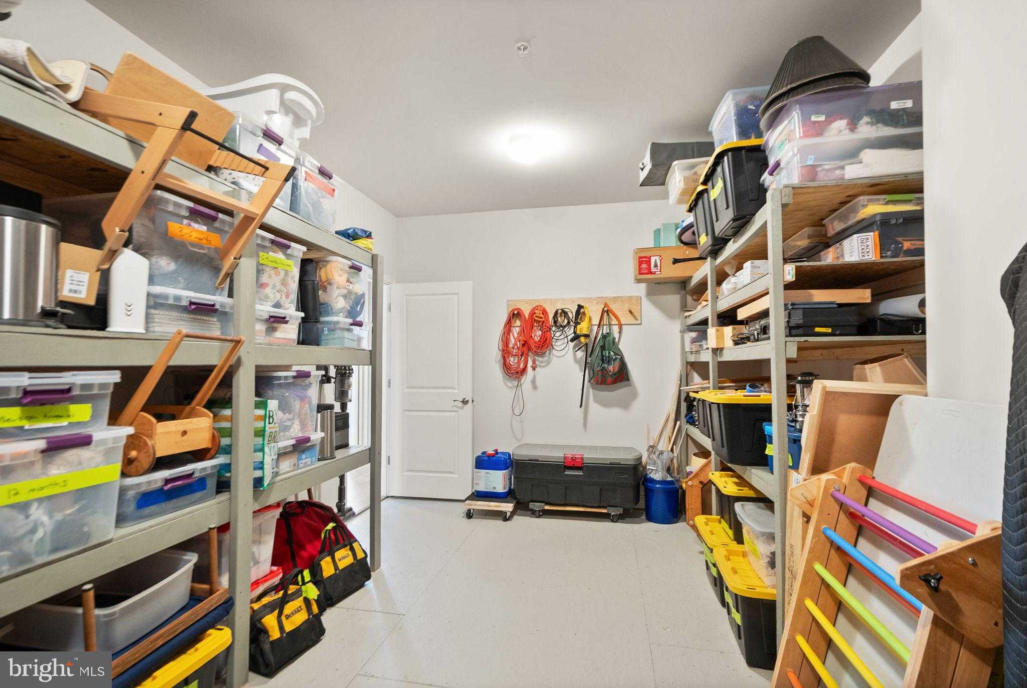 43887 Siren Song Ter photo 51