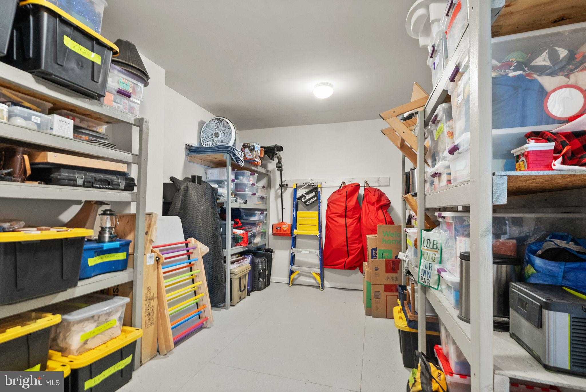 43887 Siren Song Ter photo 52