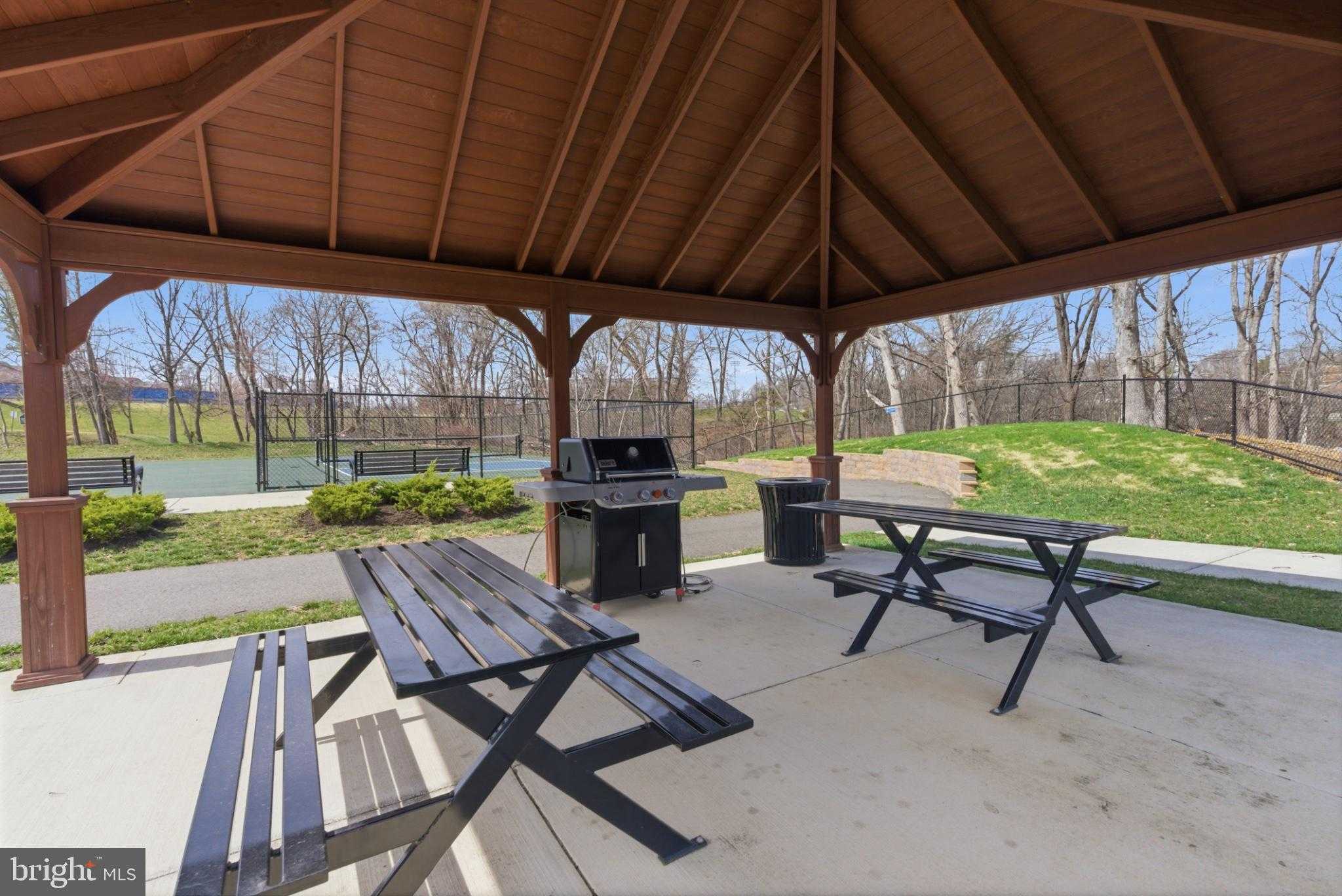 43887 Siren Song Ter photo 60