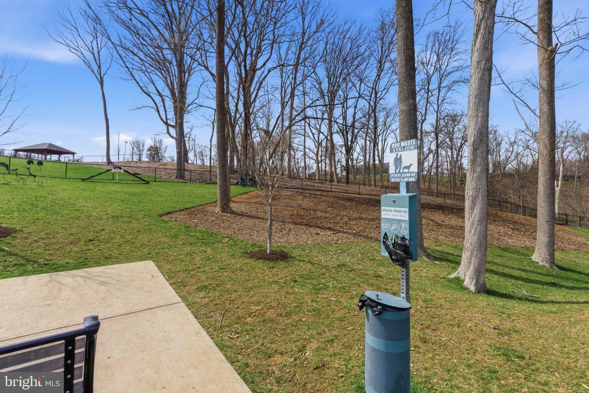 43887 Siren Song Ter photo 61