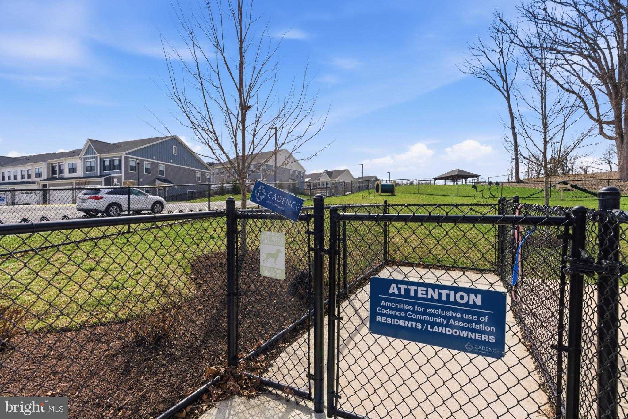 43887 Siren Song Ter photo 62