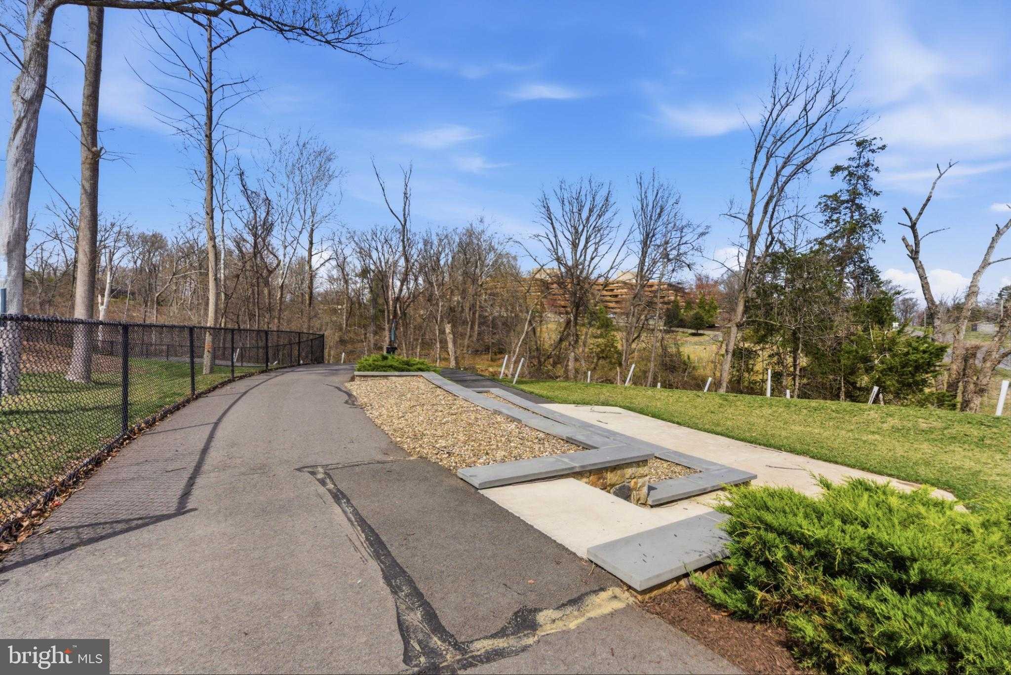 43887 Siren Song Ter photo 63