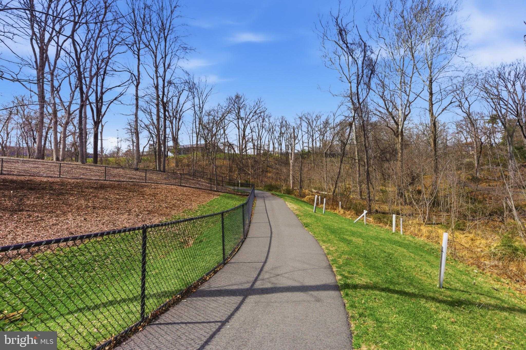 43887 Siren Song Ter photo 64