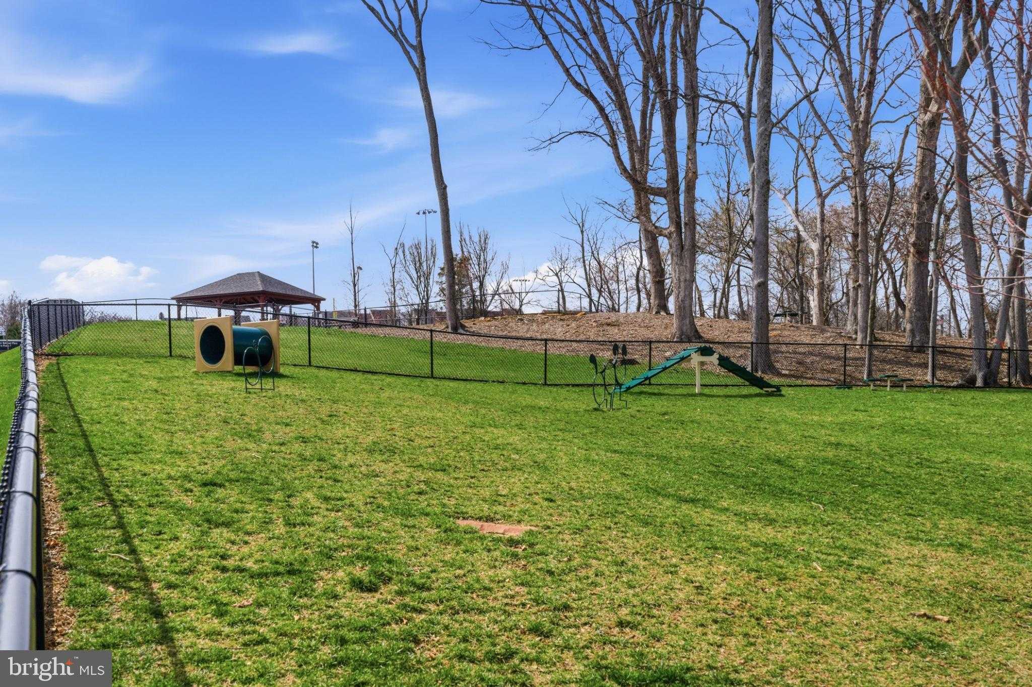 43887 Siren Song Ter photo 65