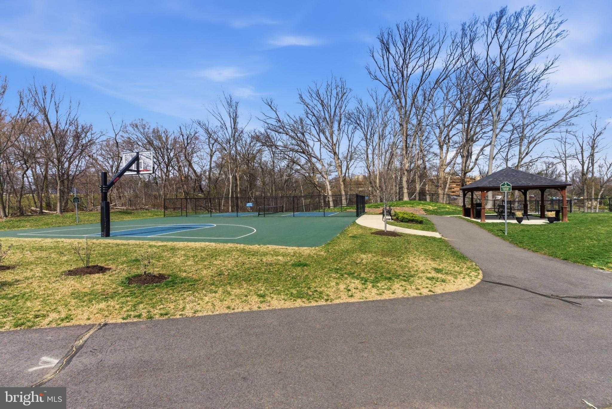 43887 Siren Song Ter photo 66