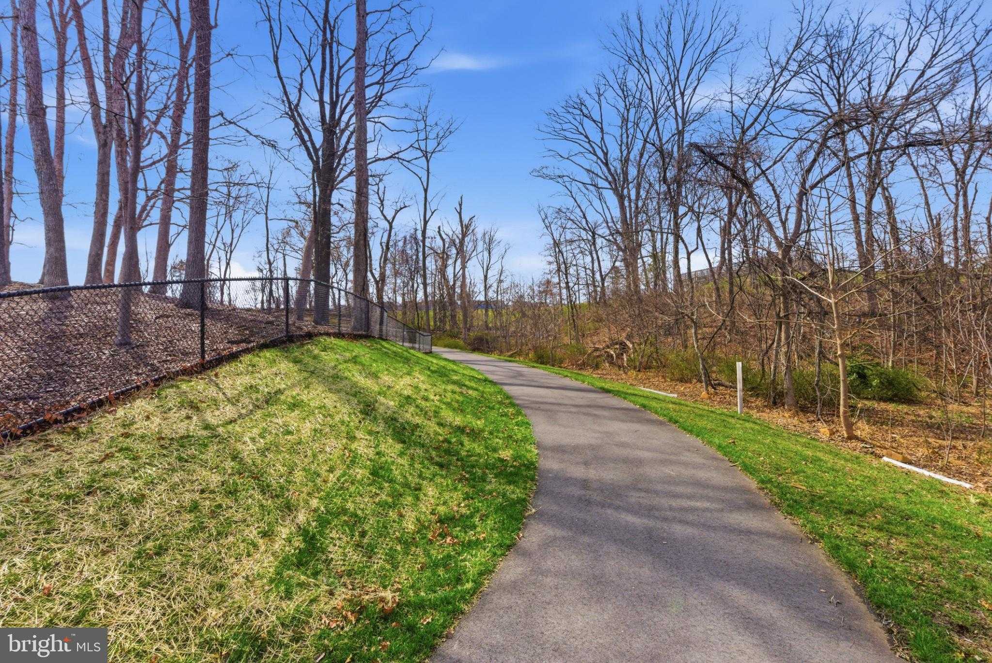 43887 Siren Song Ter photo 67