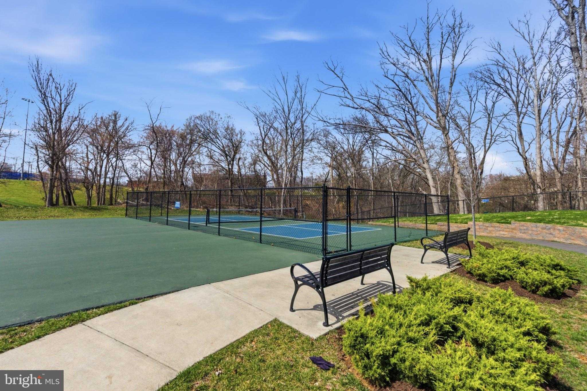 43887 Siren Song Ter photo 68