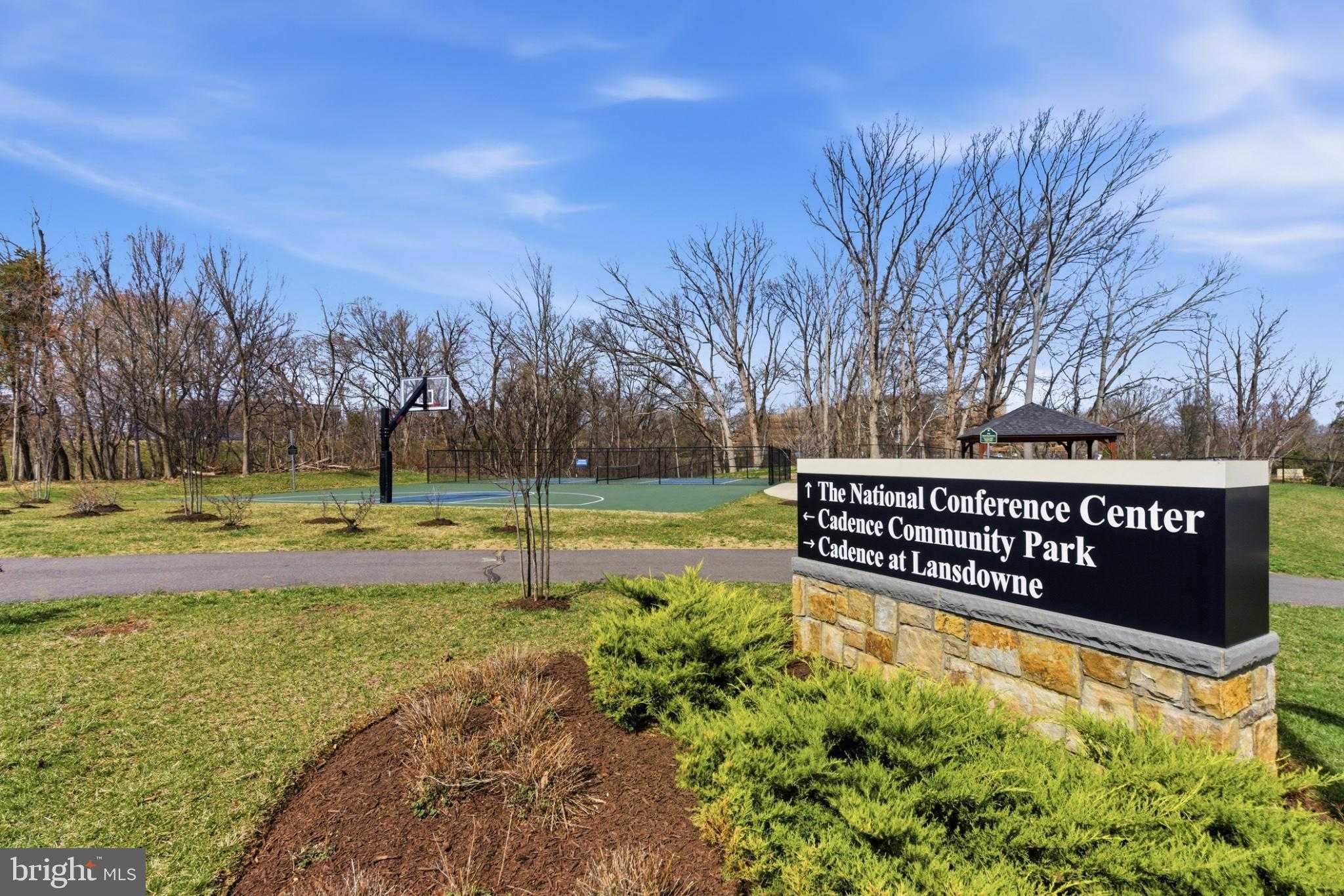 43887 Siren Song Ter photo 69