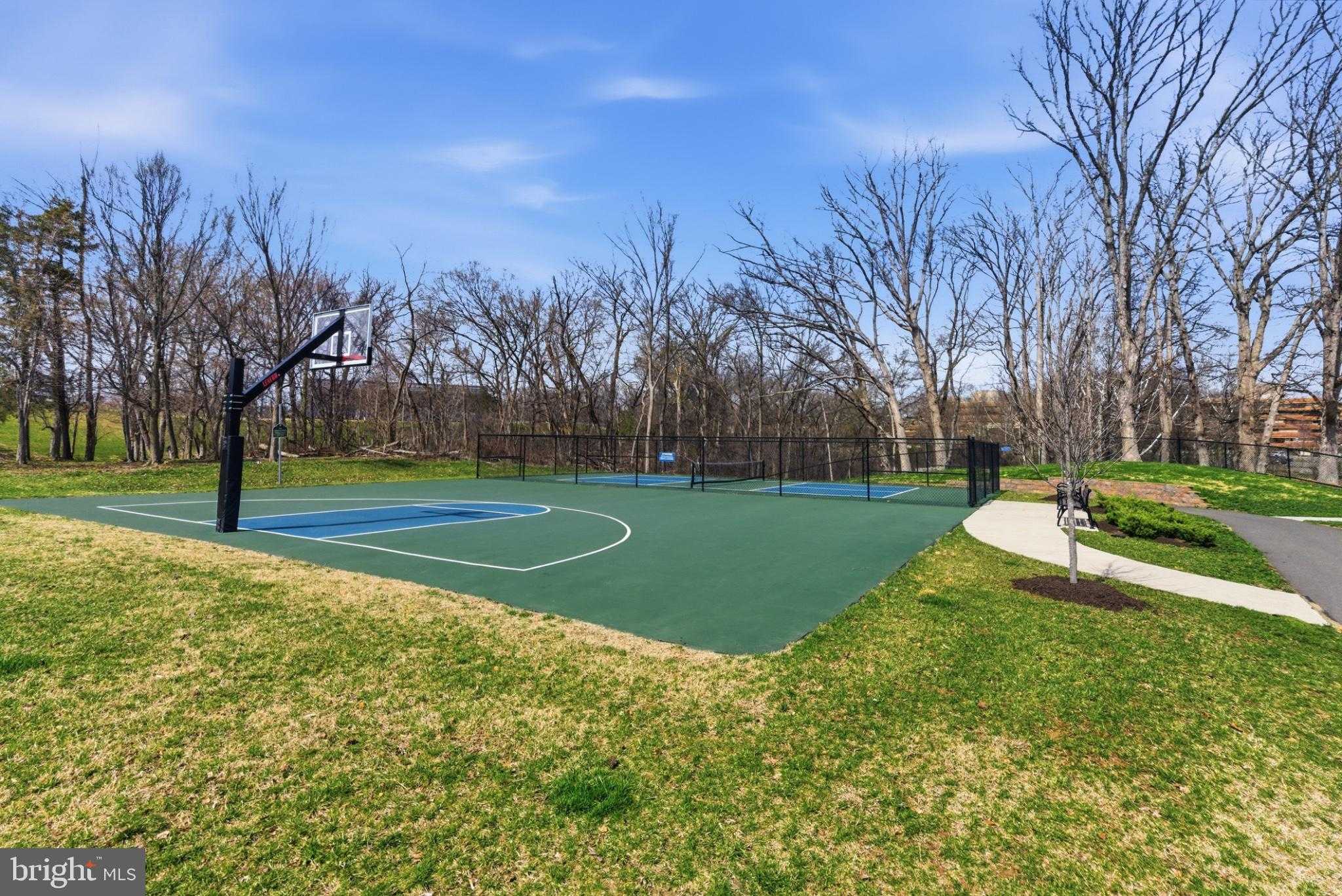 43887 Siren Song Ter photo 70