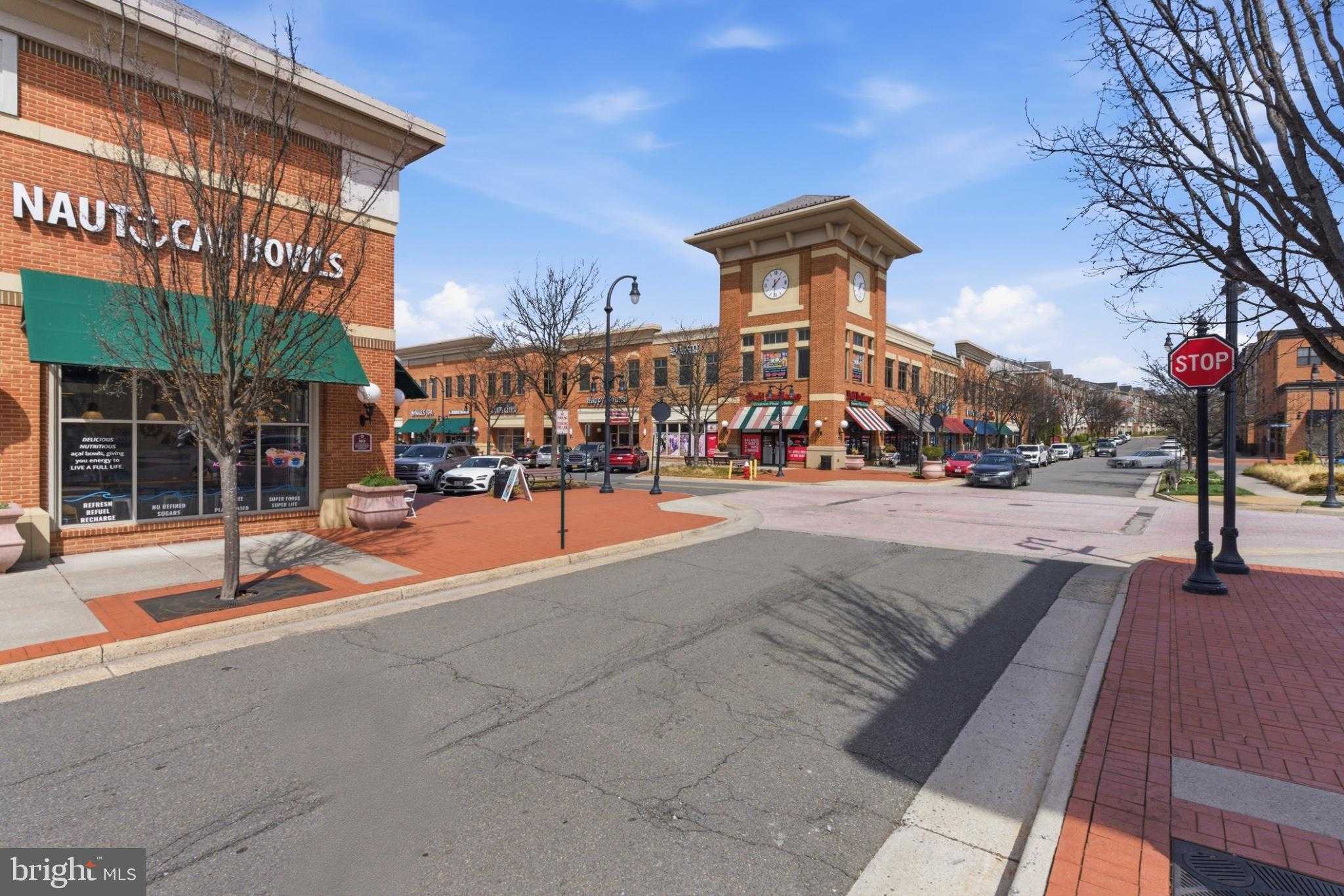 43887 Siren Song Ter photo 72