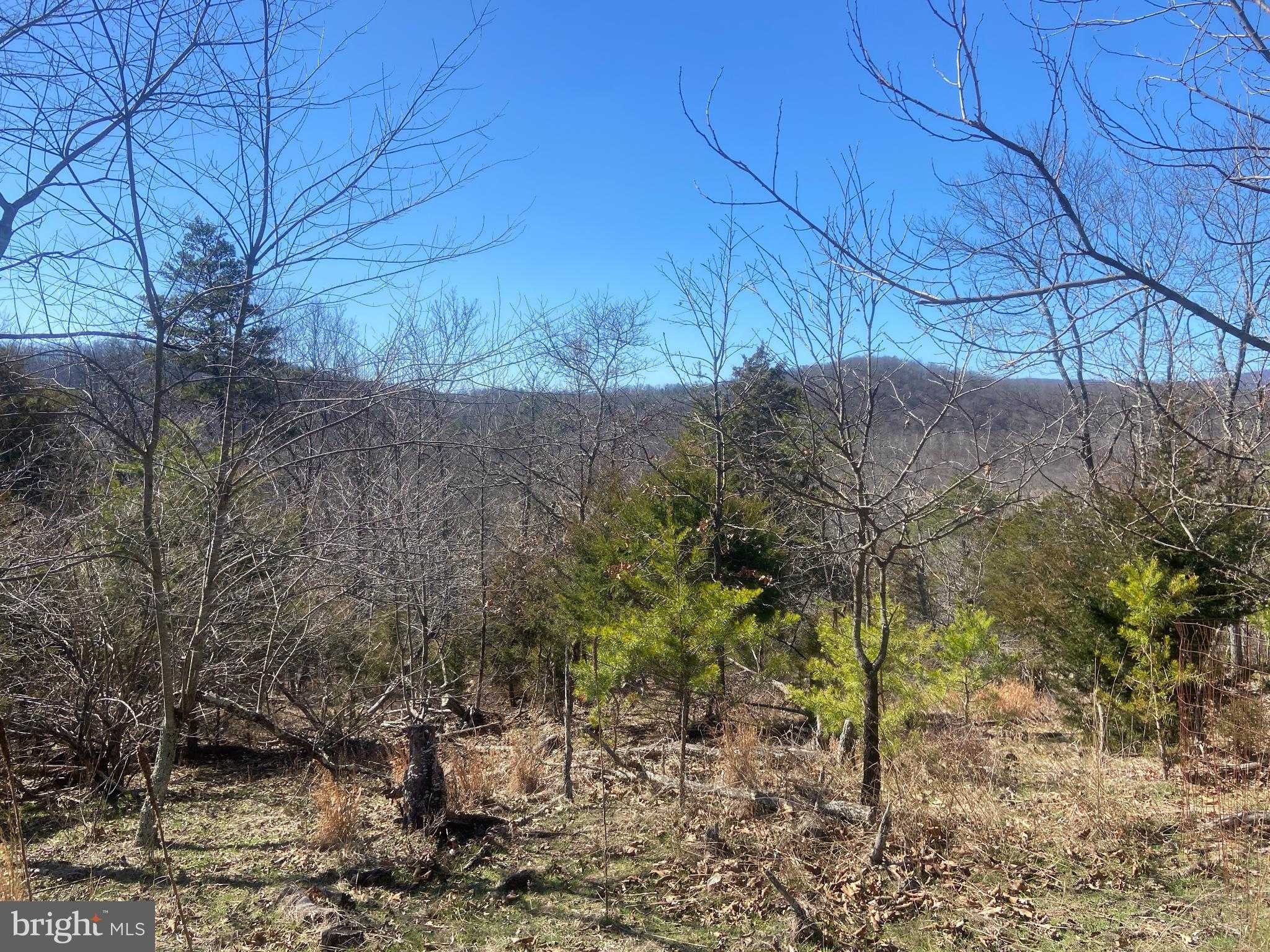 31207 Gold Plains Rd SE photo 43