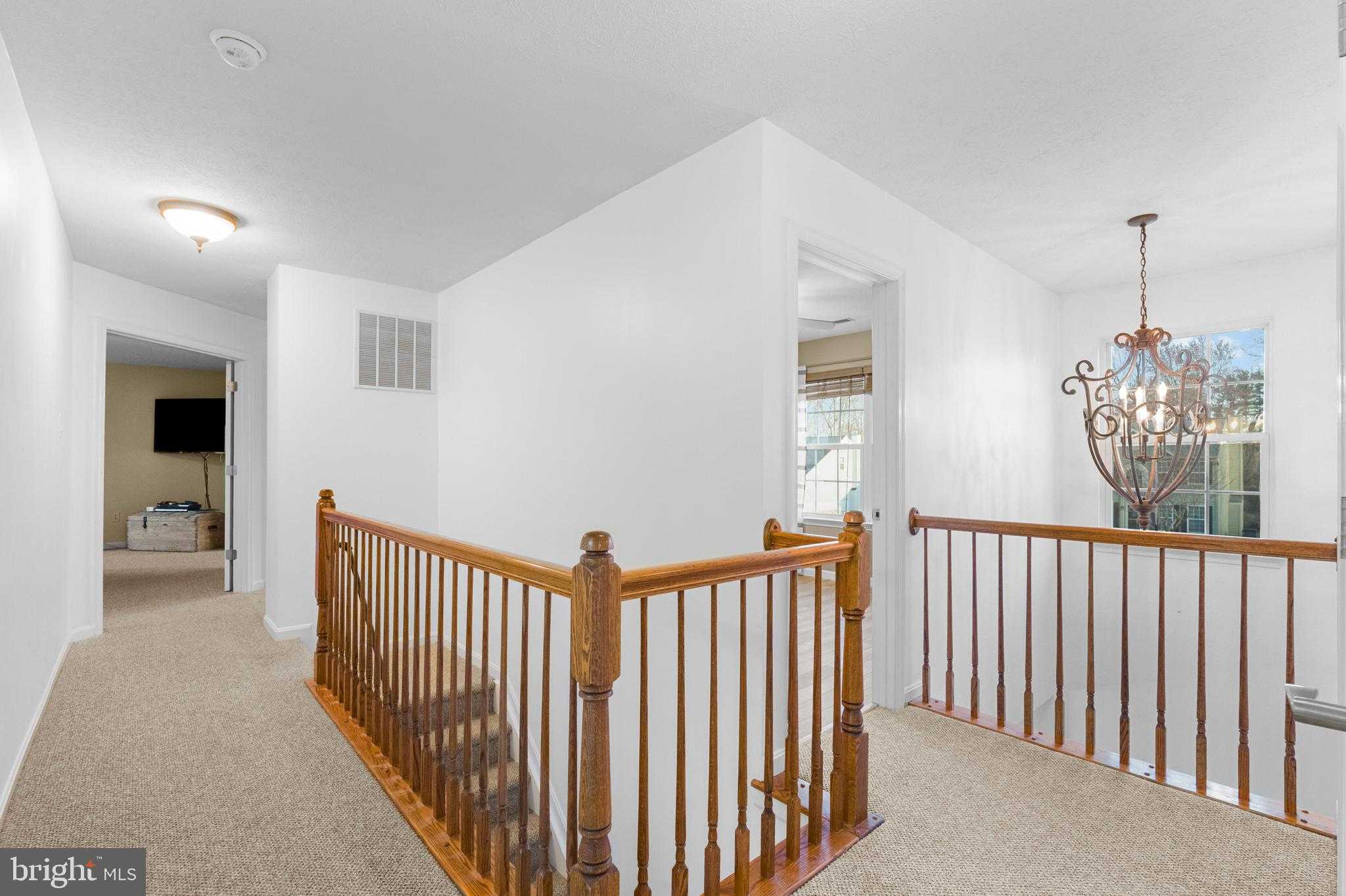 4 Morning Dove CT photo 7