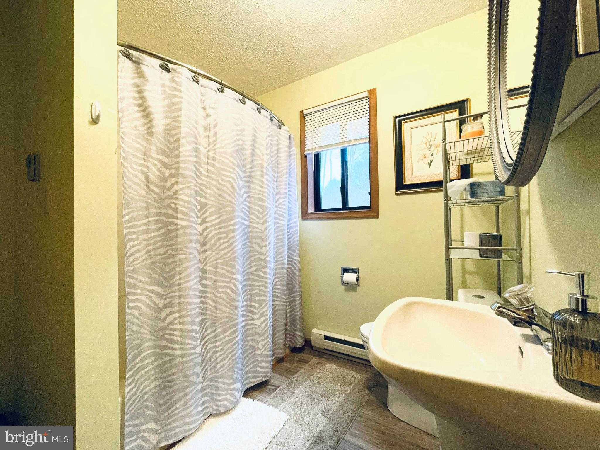 19 Livingston Ln photo 13