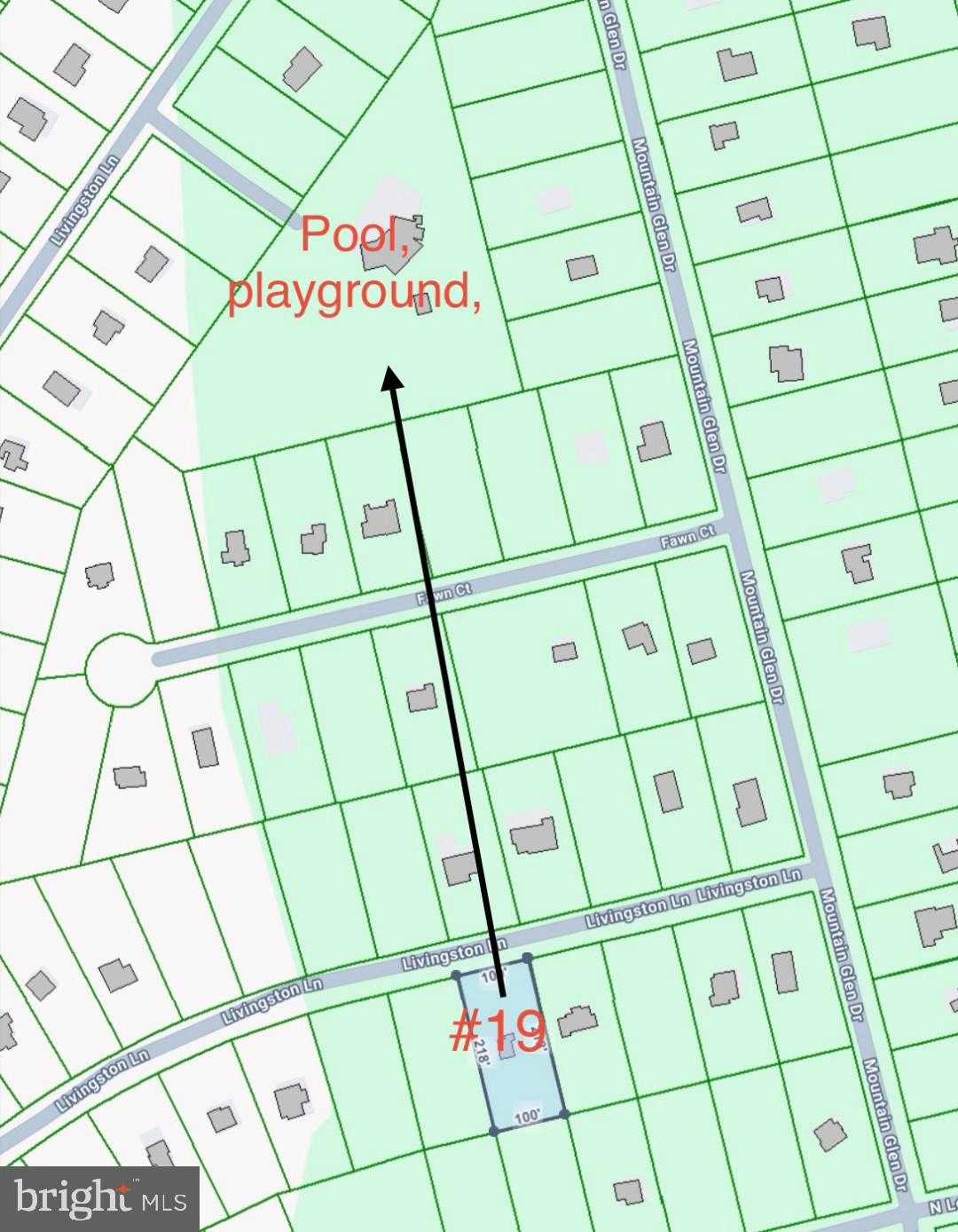 19 Livingston Ln photo 3