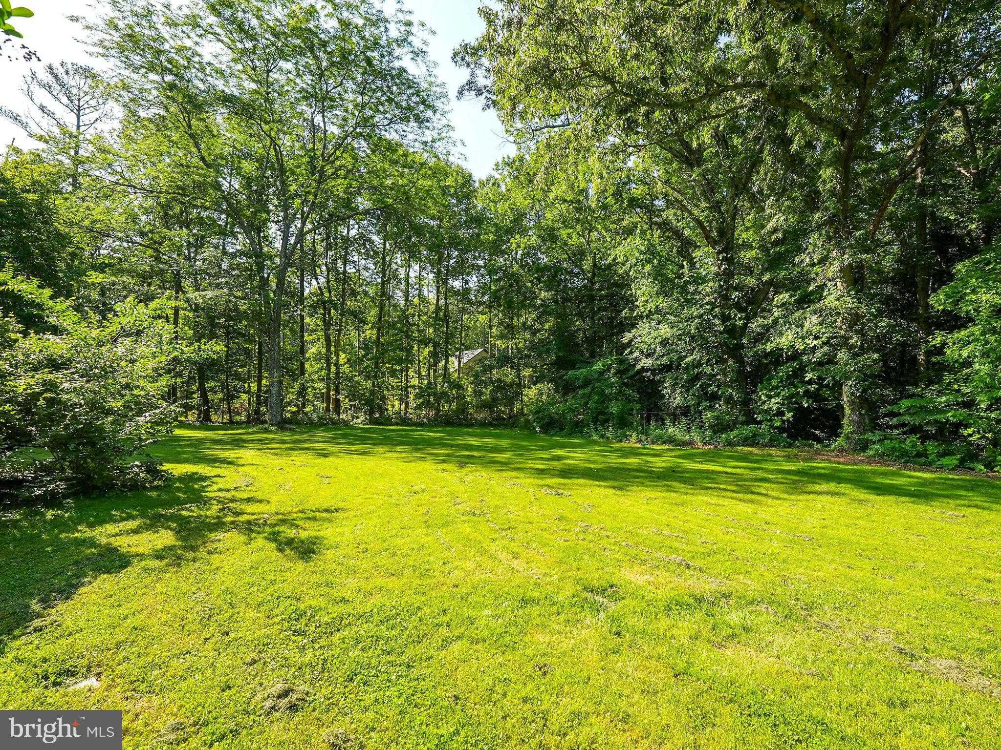 8130 Windsor Dr photo 20