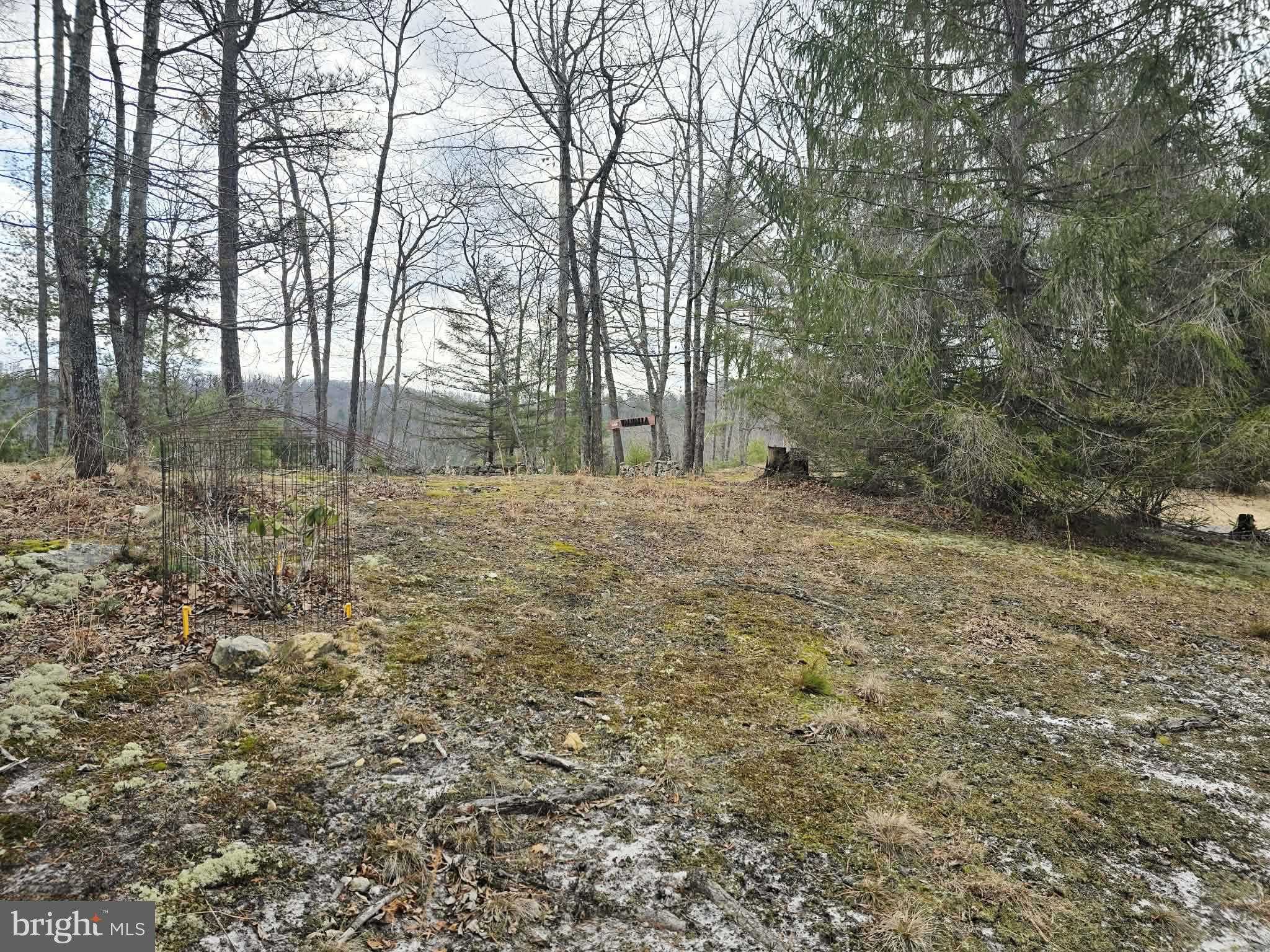 1120 Sandy Ridge Rd photo 45