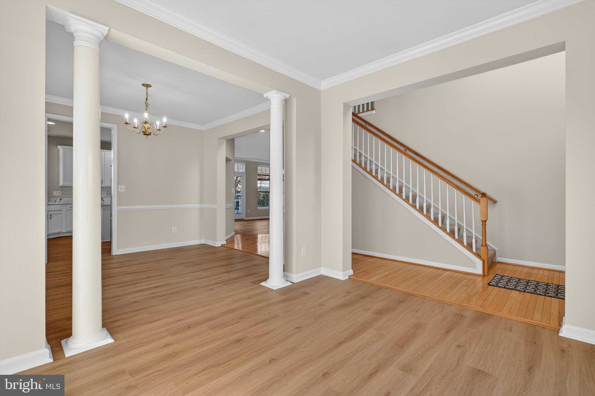 25278 Boldness CT photo 7