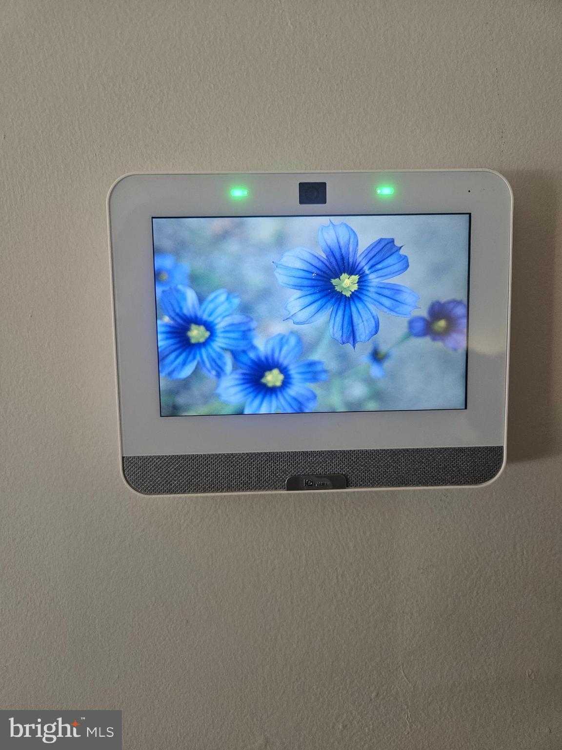 7546 Whaler CT photo 3