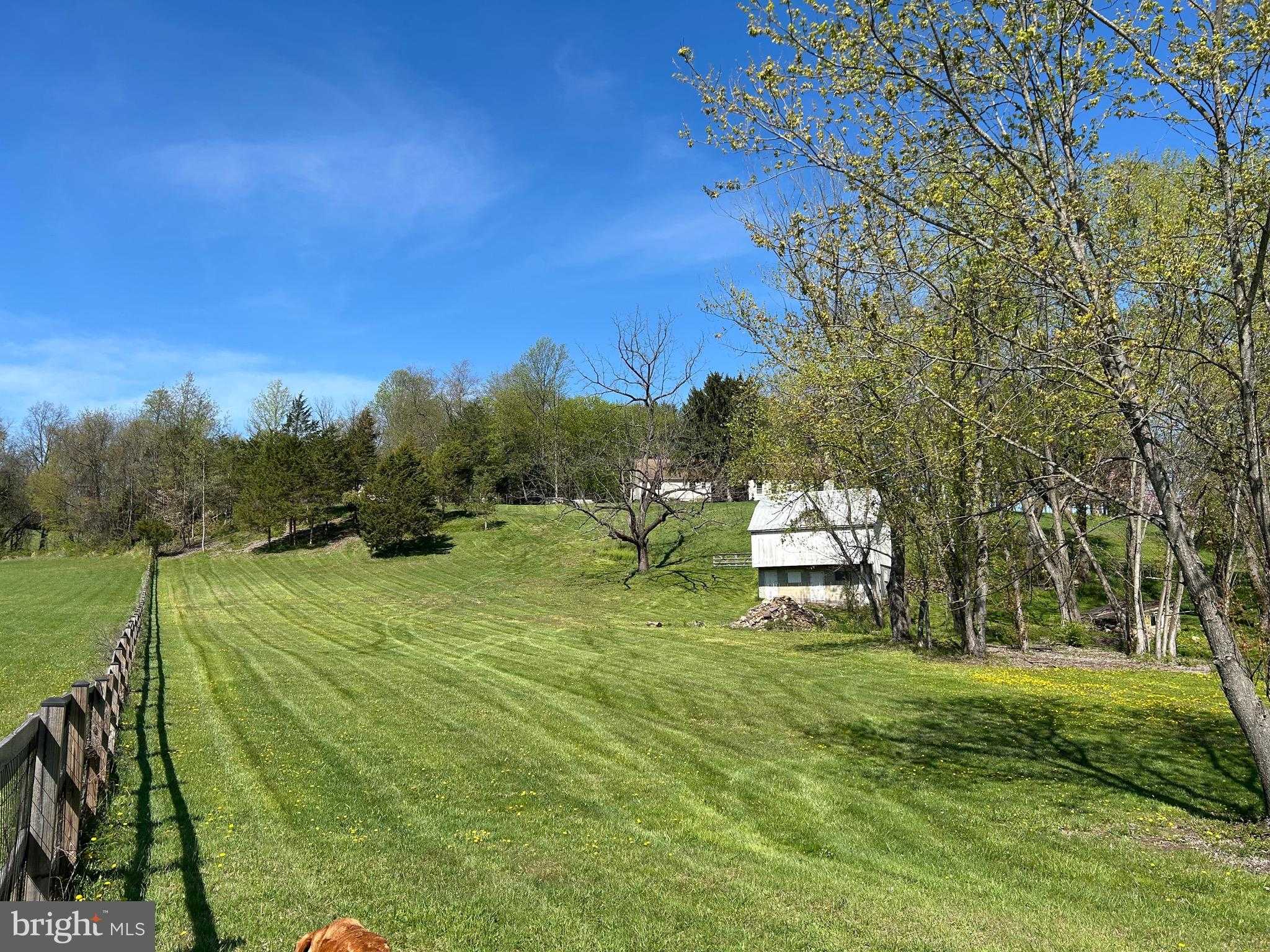 8730 Mapleville Rd photo 69