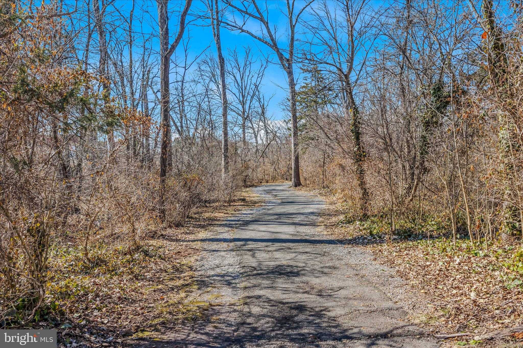 43147 Gatwick Sq photo 39