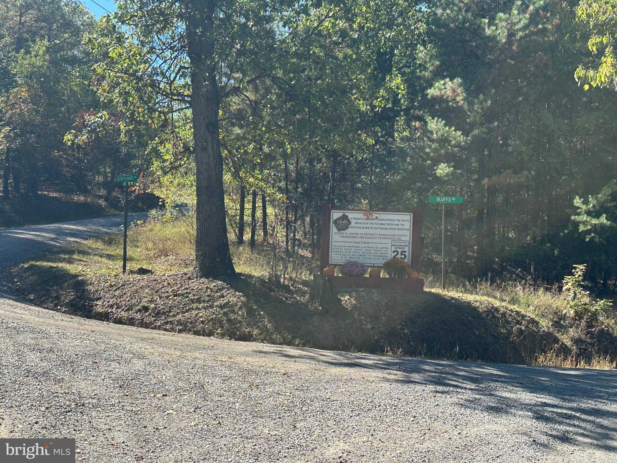 199 Bluffs Ridge Rd photo 81