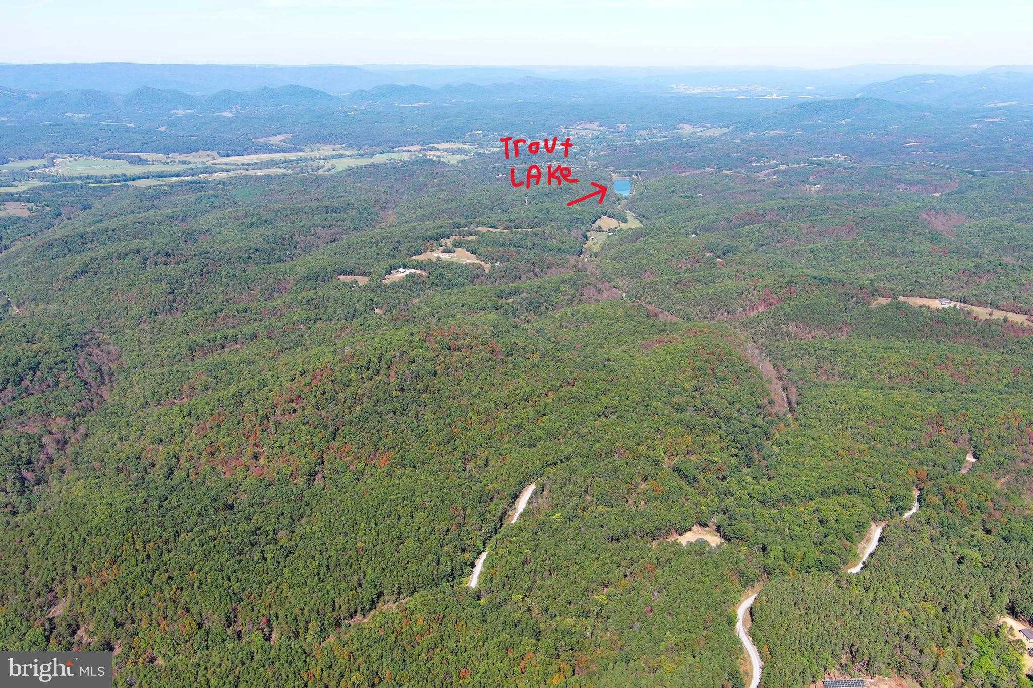 199 Bluffs Ridge Rd photo 9