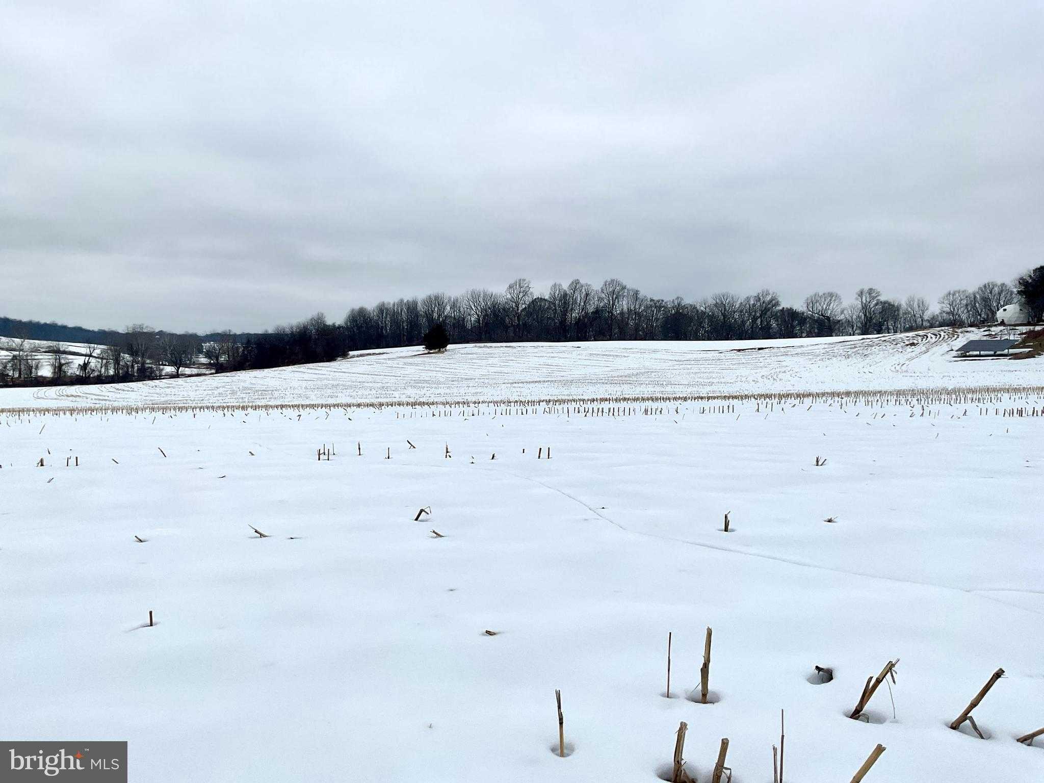 192 Rock Church Rd photo 59